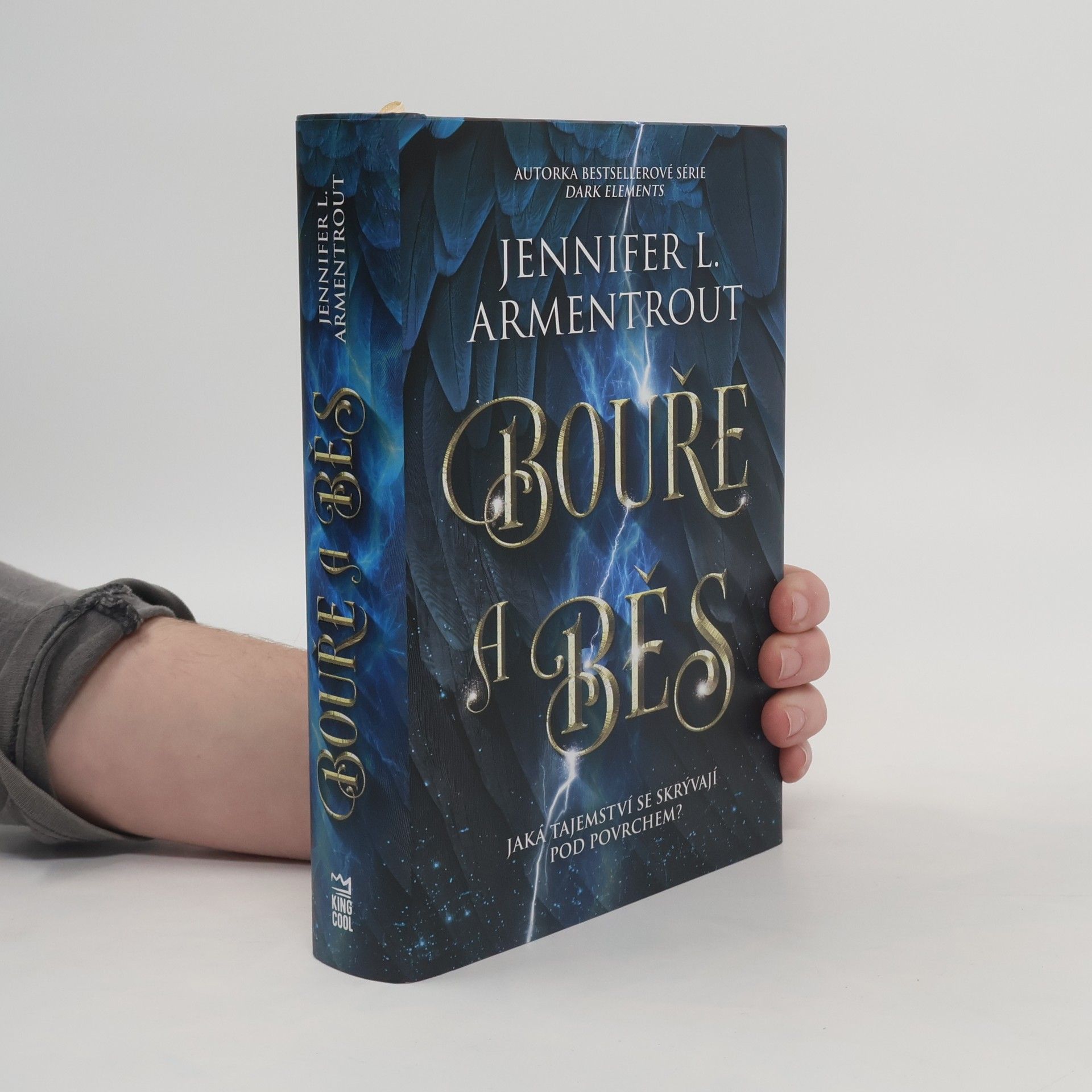 Jennifer L. Armentrout Bouře a běs