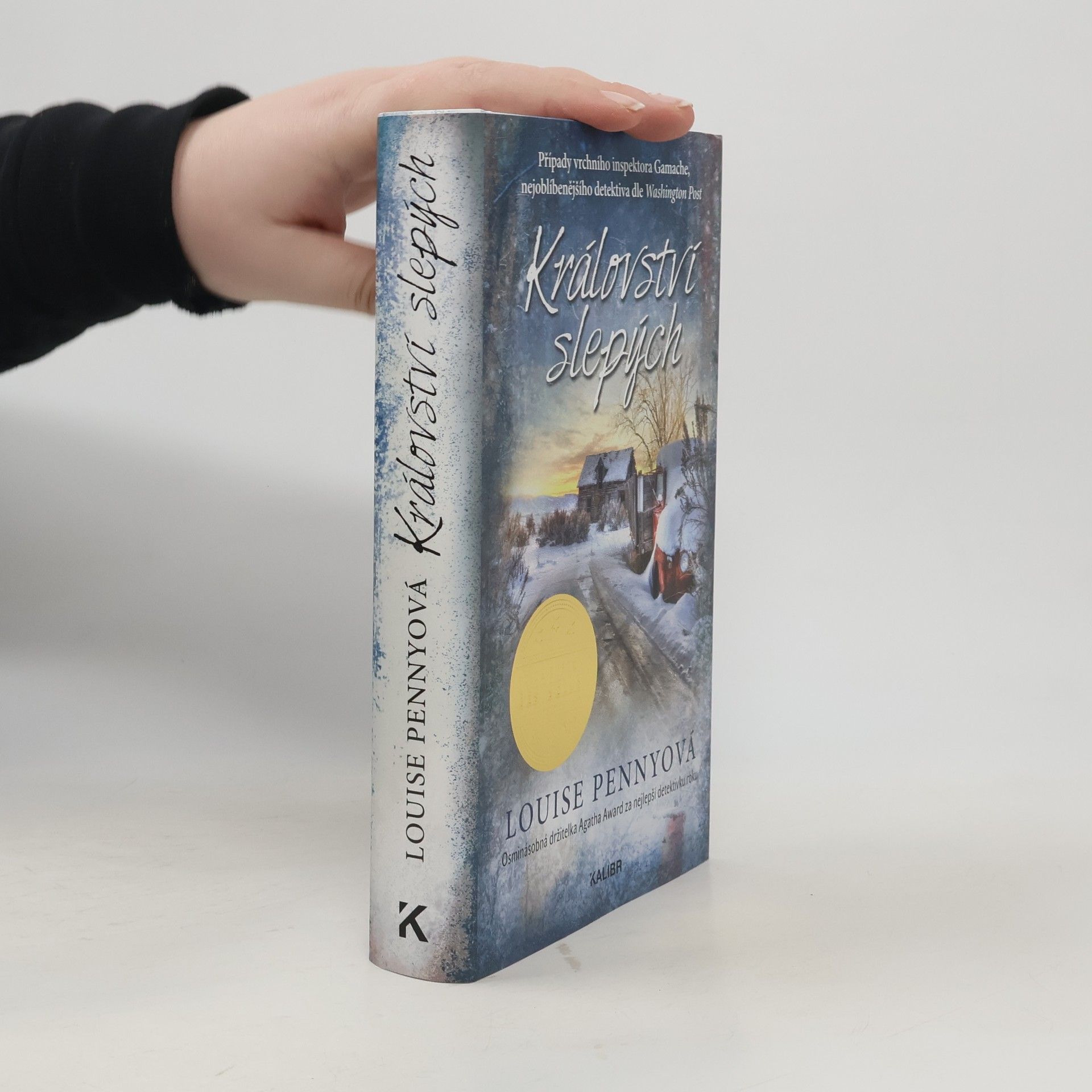 Louise Penny Království slepých