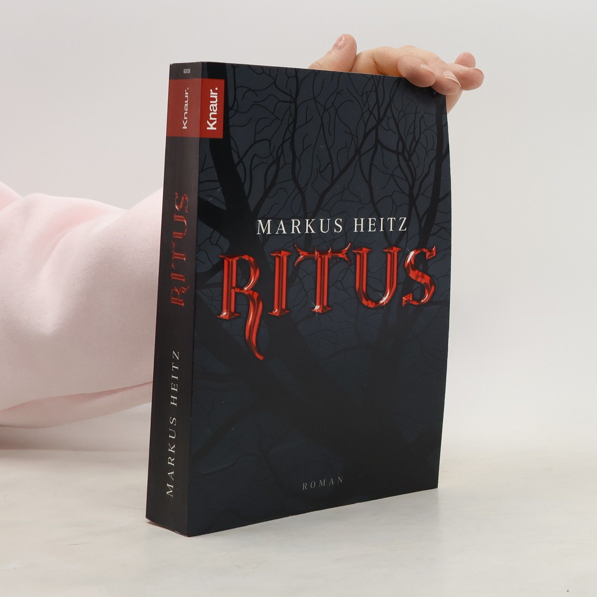 Markus Heitz Ritus