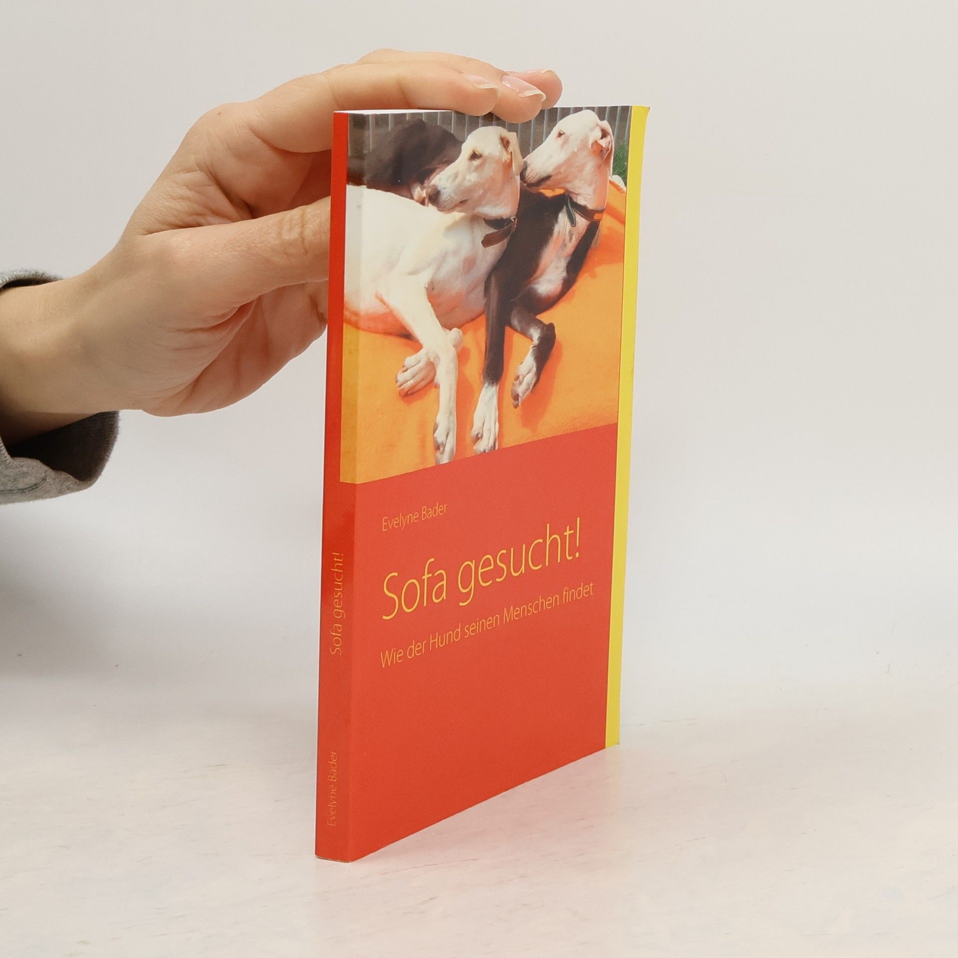 Evelyne Bader Sofa gesucht! Wie der Hund seinen Menschen findet