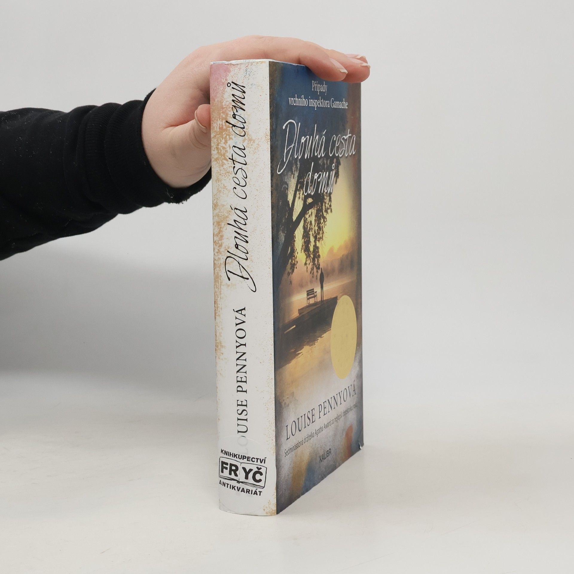 Louise Penny Dlouhá cesta domů