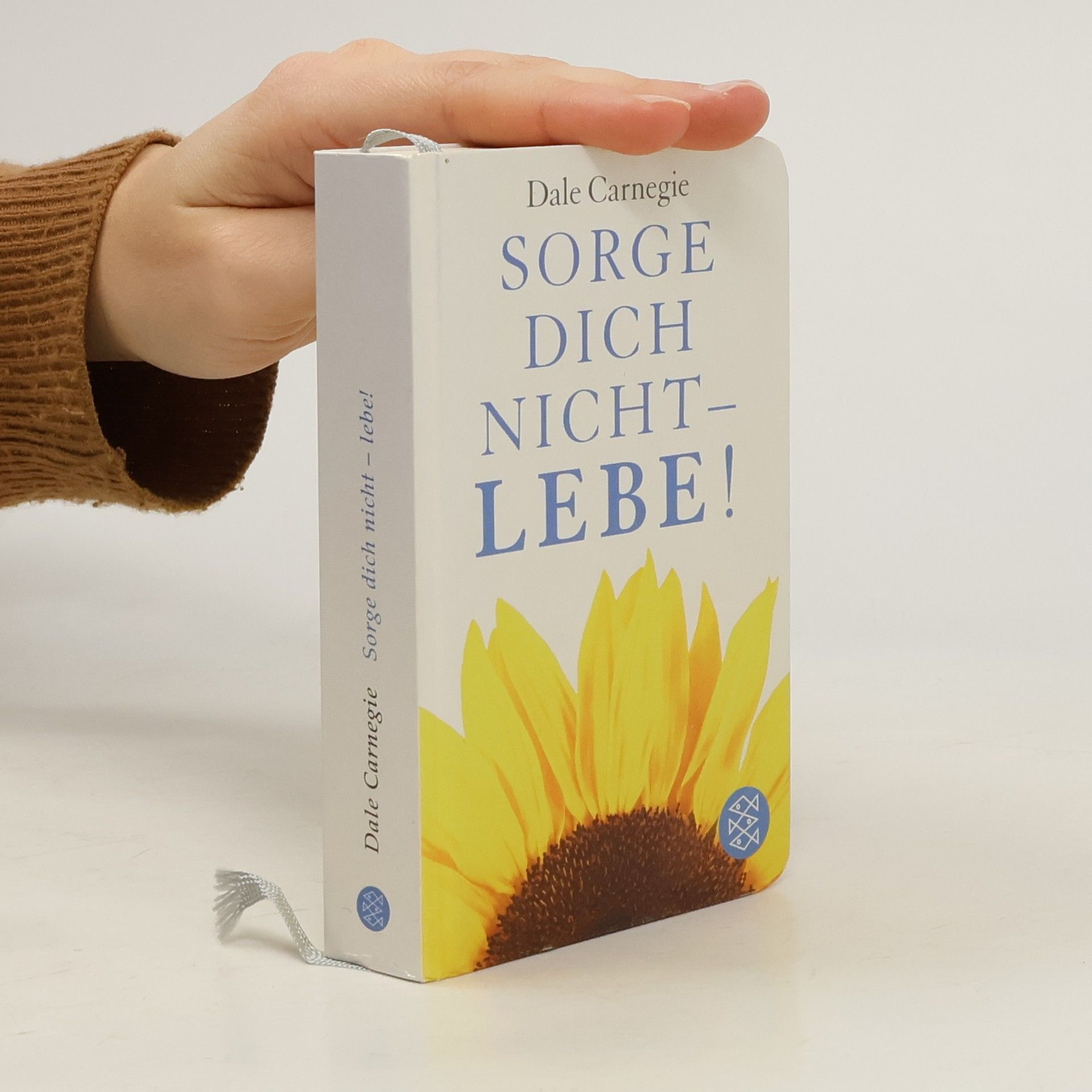 Dale Carnegie Sorge dich nicht - lebe!