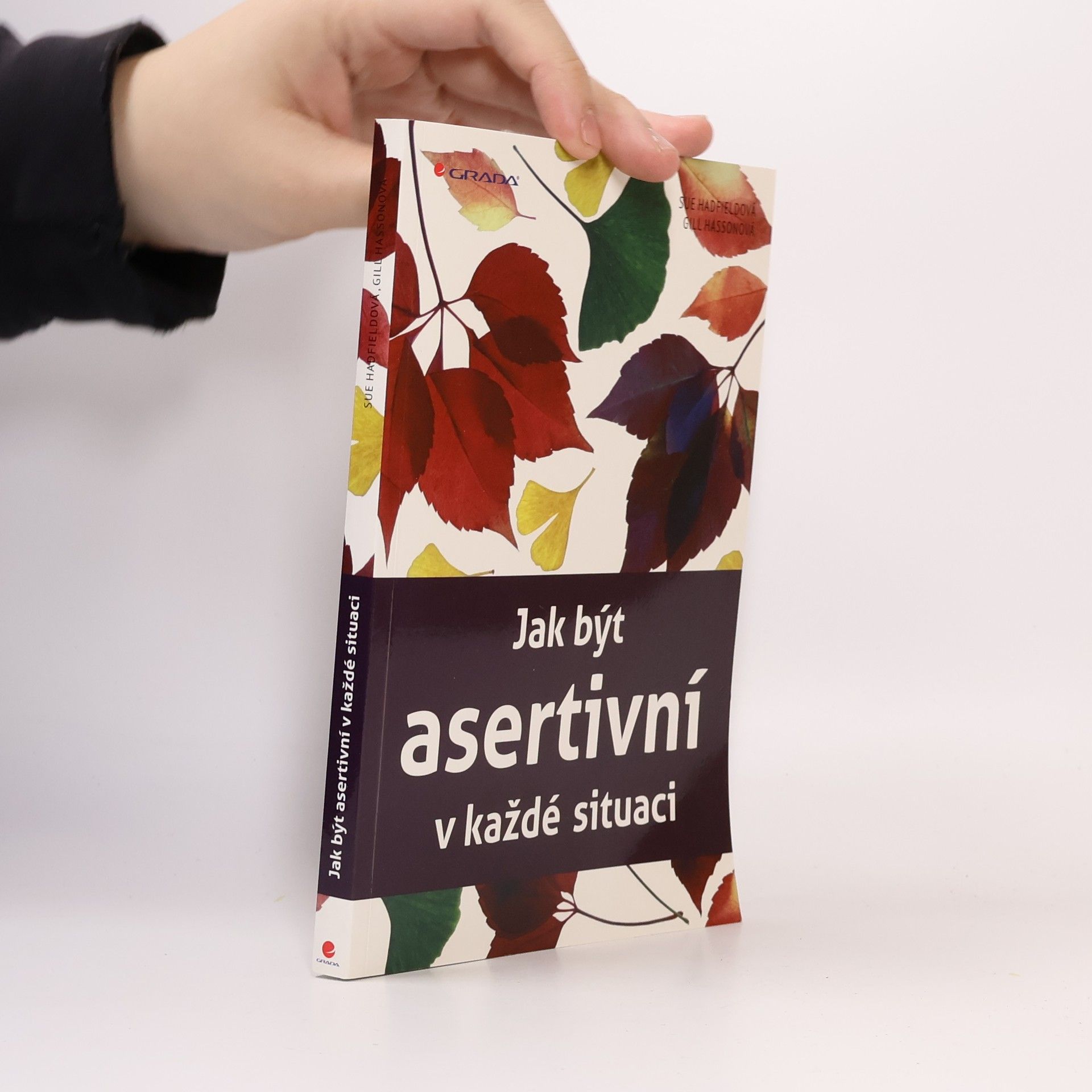 Autorenkollektiv Jak být asertivní v každé situaci