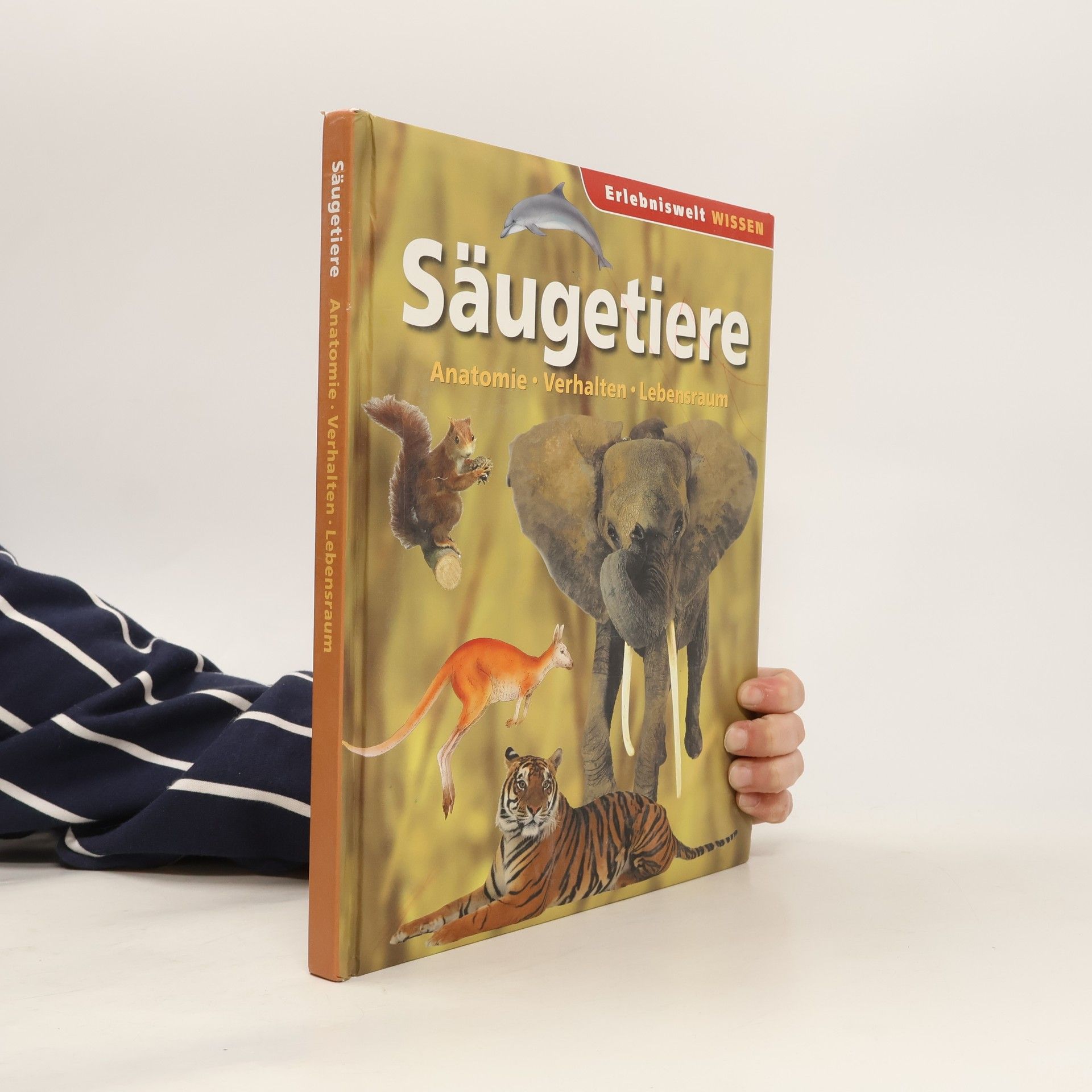 Autorenkollektiv Säugetiere