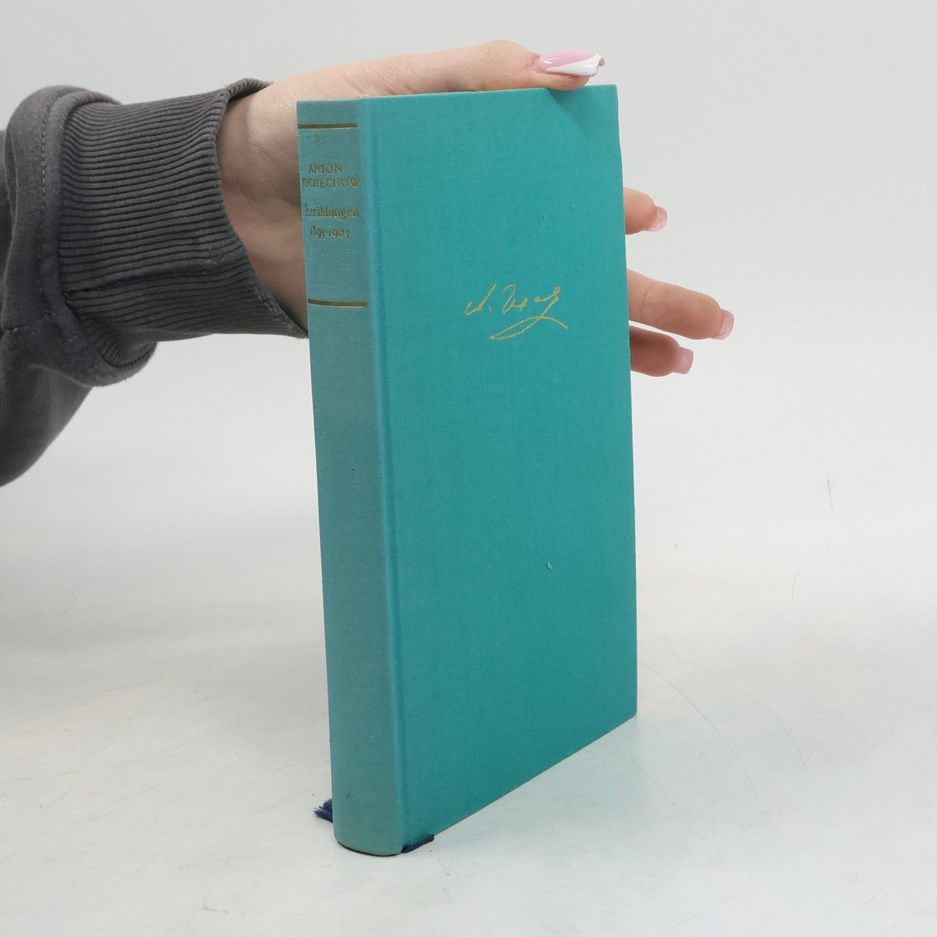 Anton Chekhov Erzählungen 1893-1903