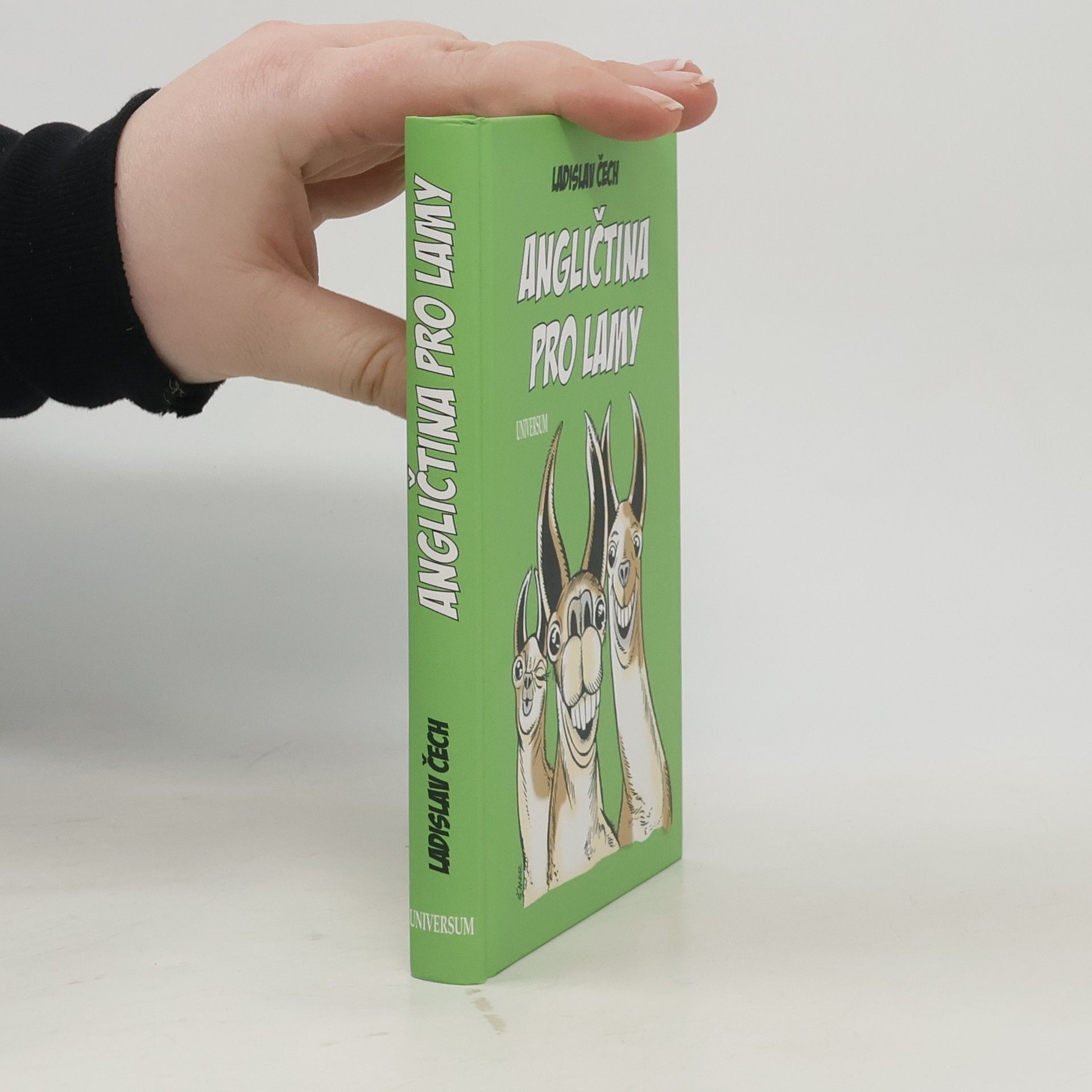 Ladislav Čech Angličtina pro lamy