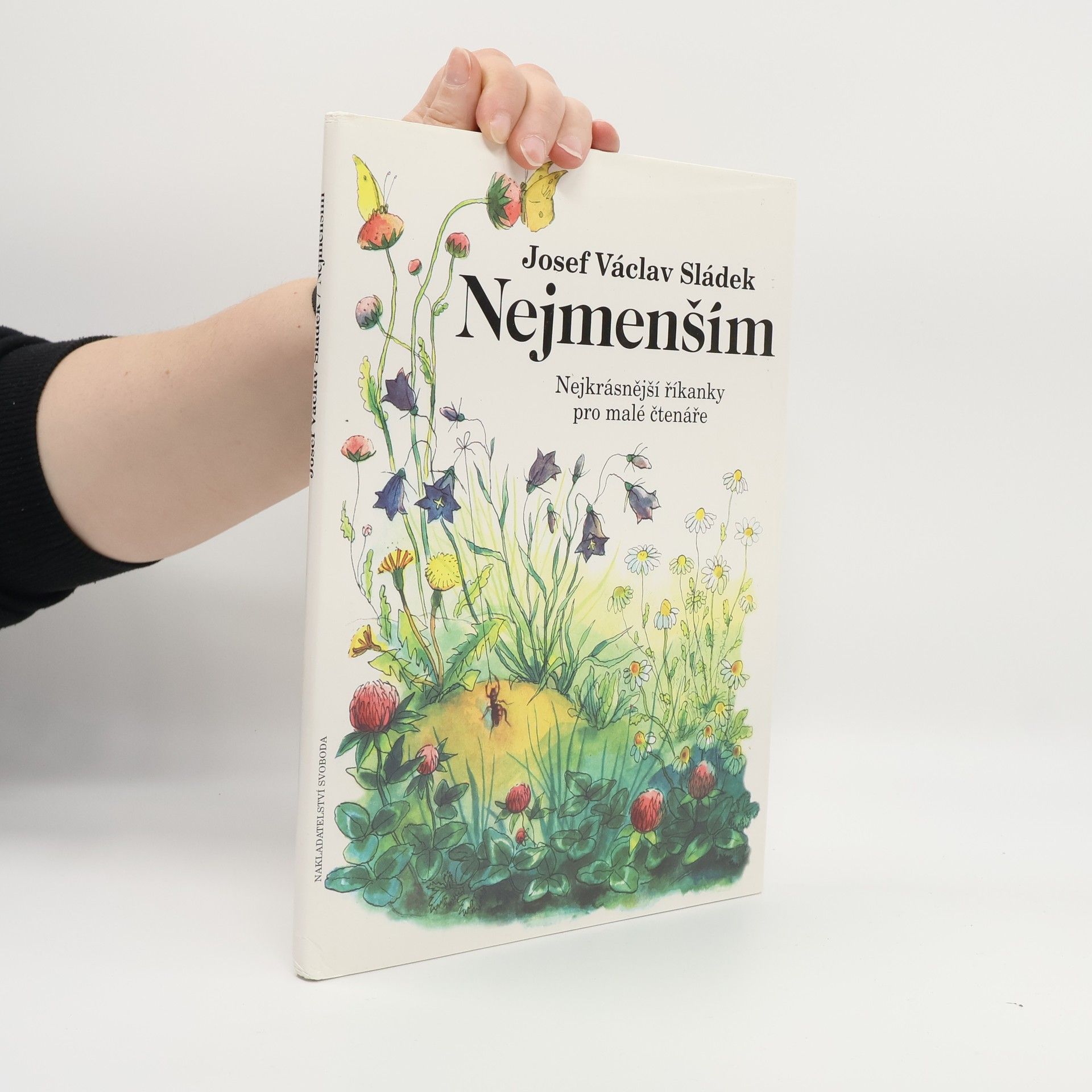 Josef Václav Sládek Nejmenším