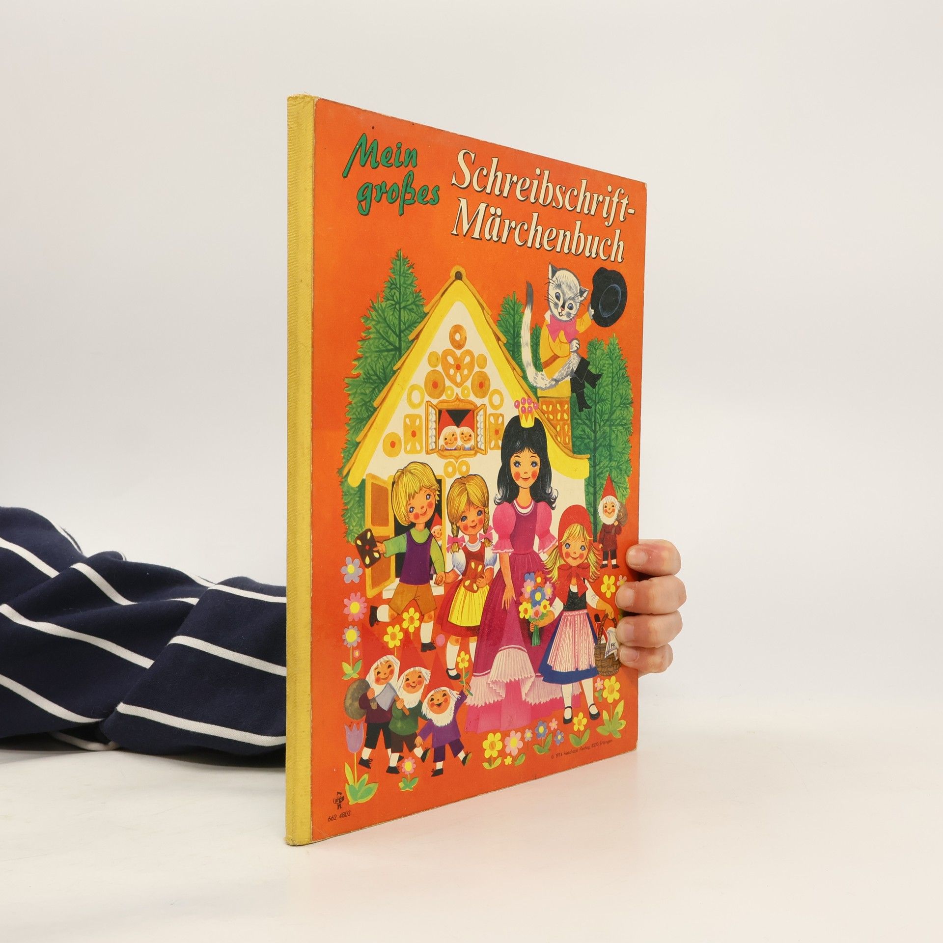 Autorenkollektiv Mein grosses Schreibschrift Märchenbuch