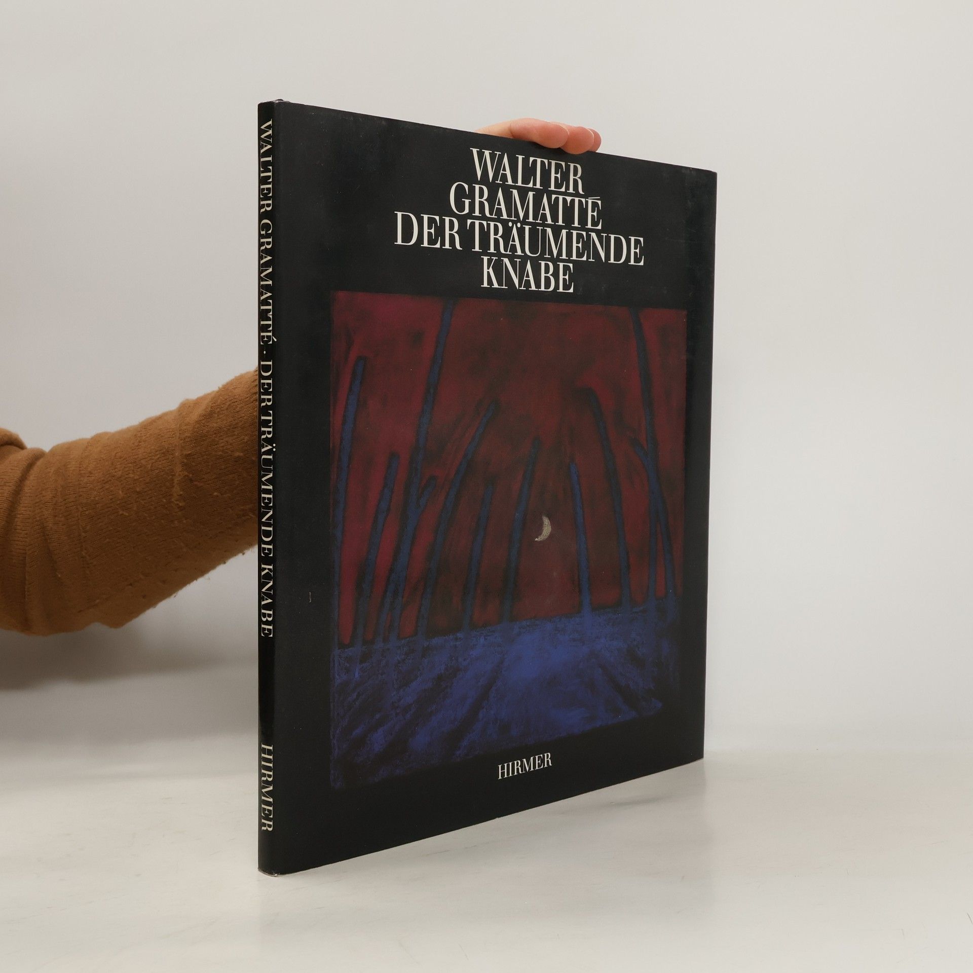 Der träumende Knabe