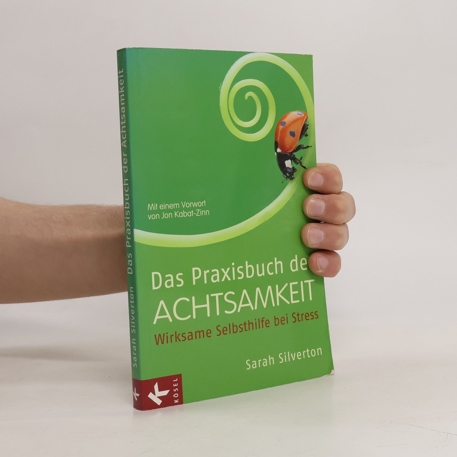 Sarah Silverton Das Praxisbuch der Achtsamkeit