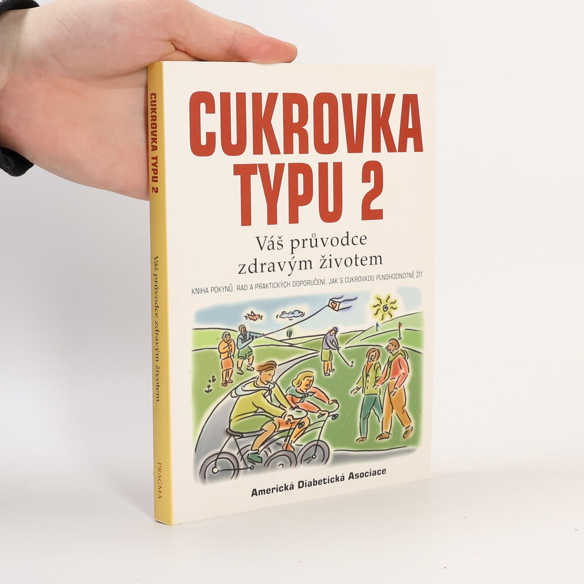Kolektiv autorů Cukrovka typu 2