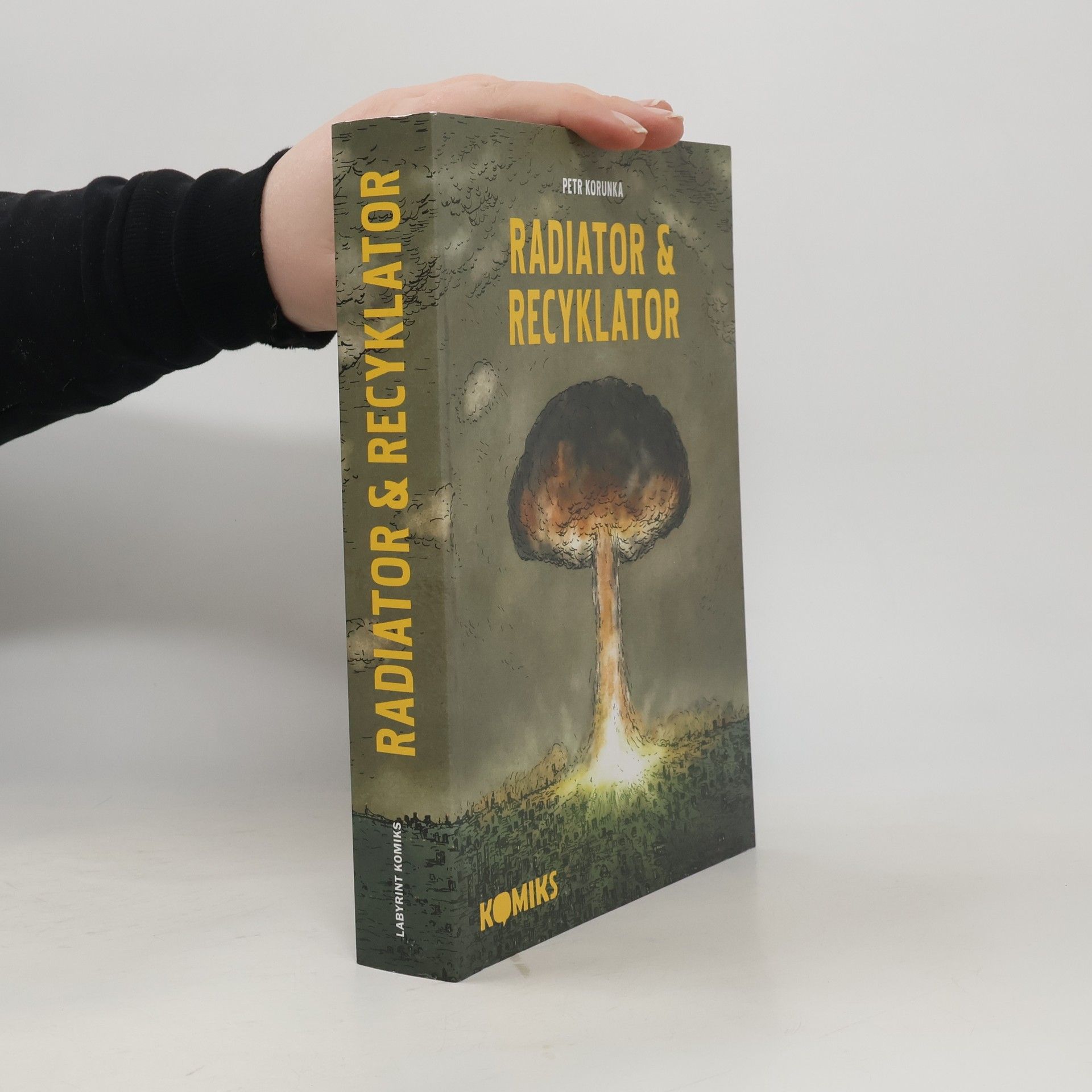 Radiator & Recyklator