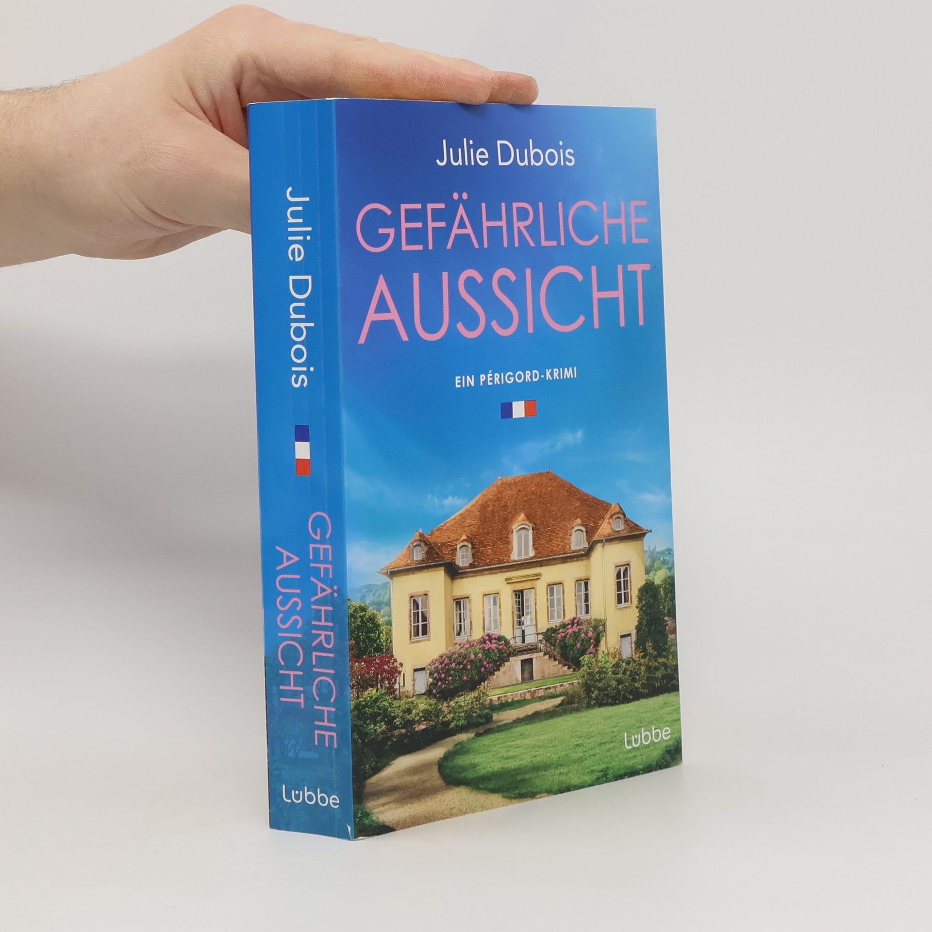 Julie Dubois Gefährliche Aussicht