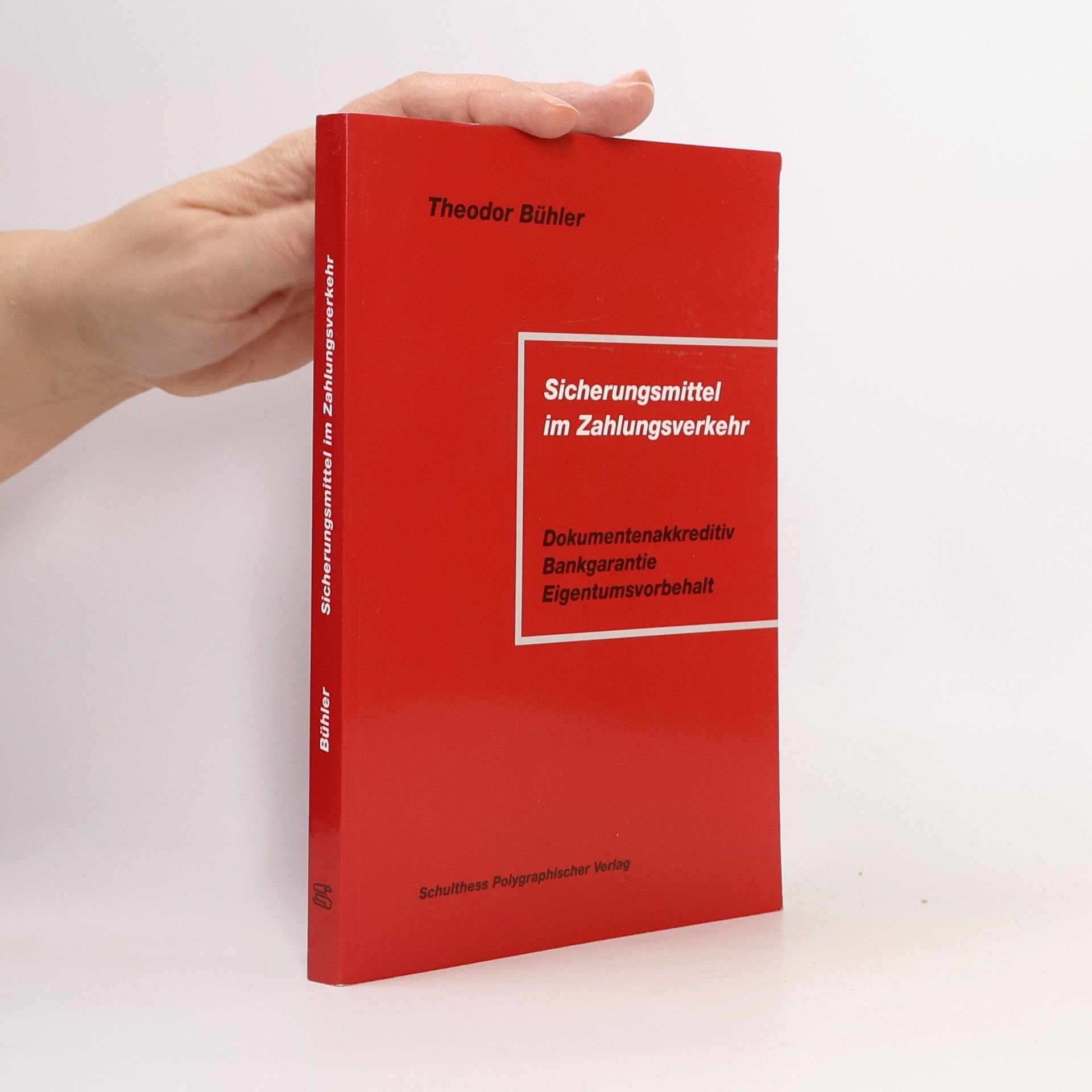 Theodor Bühler Sicherungsmittel im Zahlungsverkehr