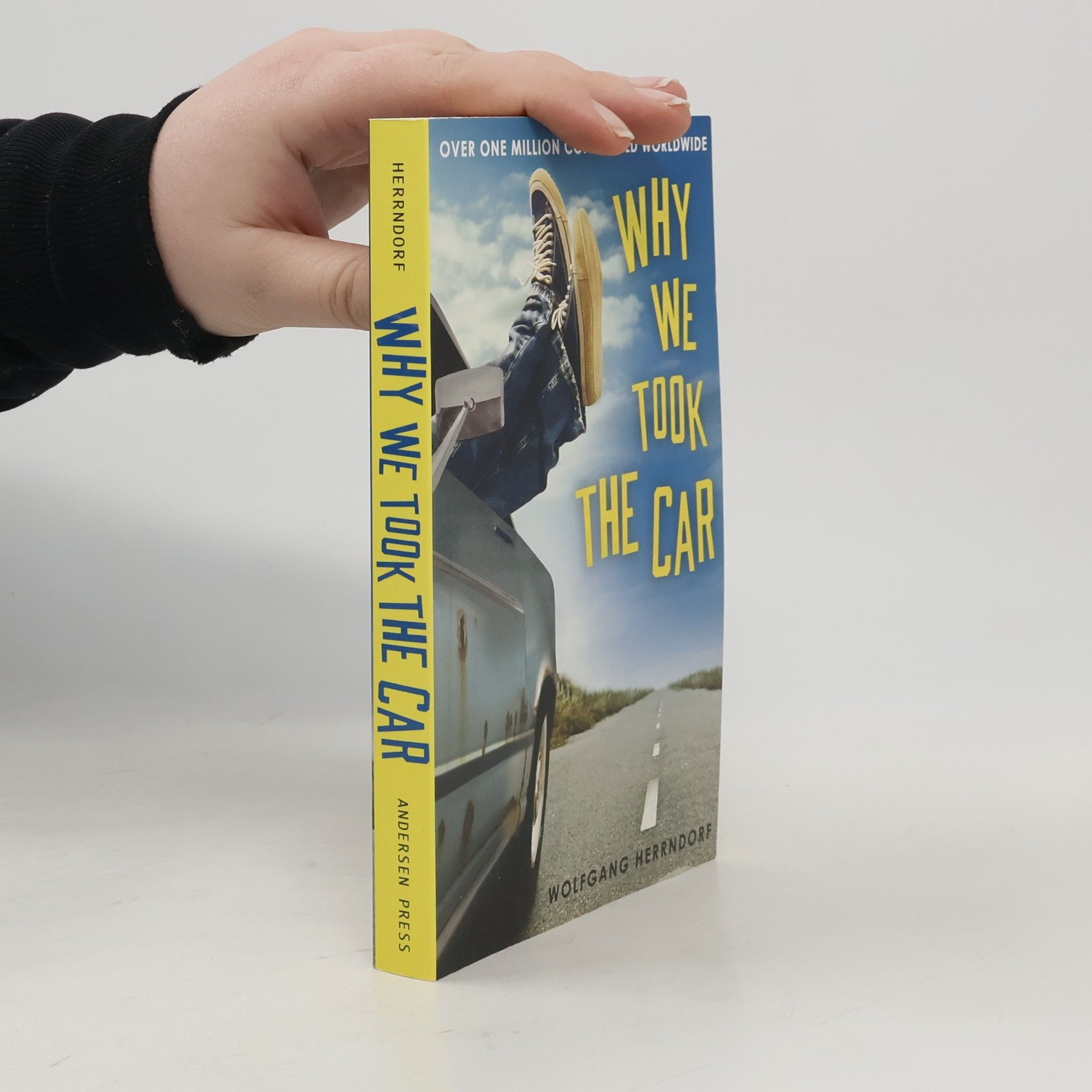 Wolfgang Herrndorf Why we took the car