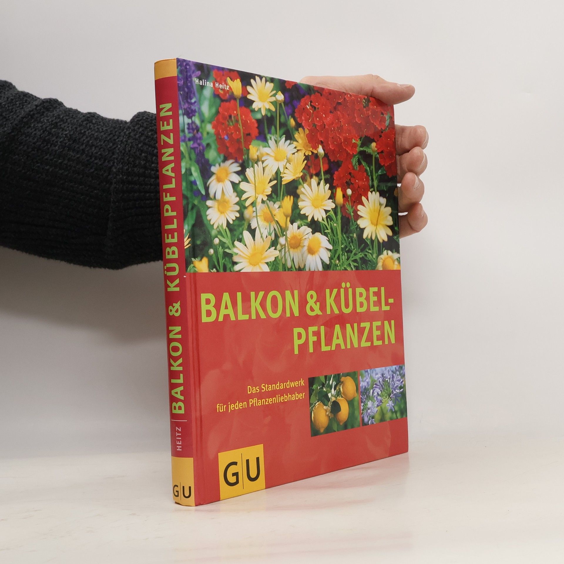 Halina Heitz Balkon und Kübelpflanzen