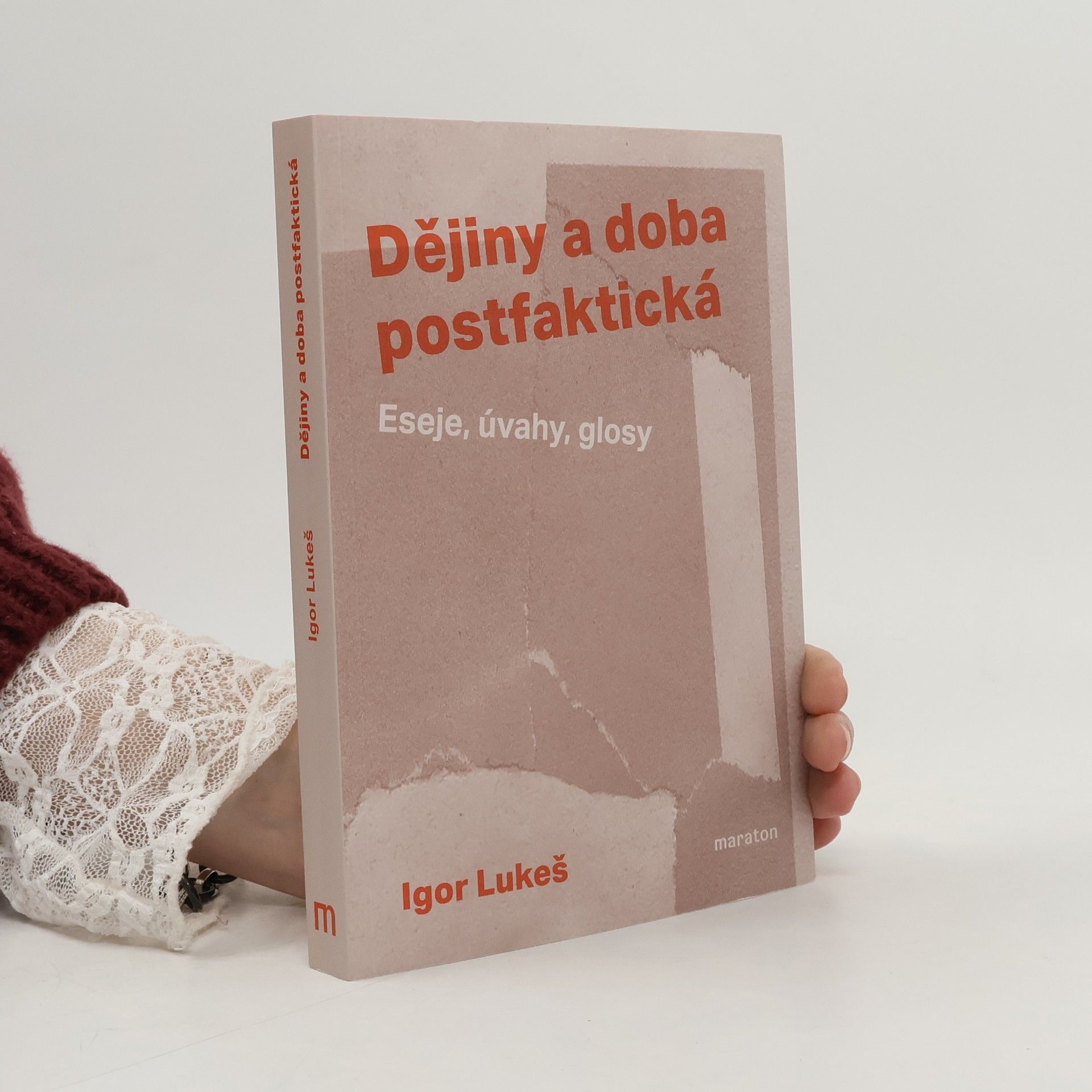 Dějiny a doba postfaktická : eseje, úvahy, glosy