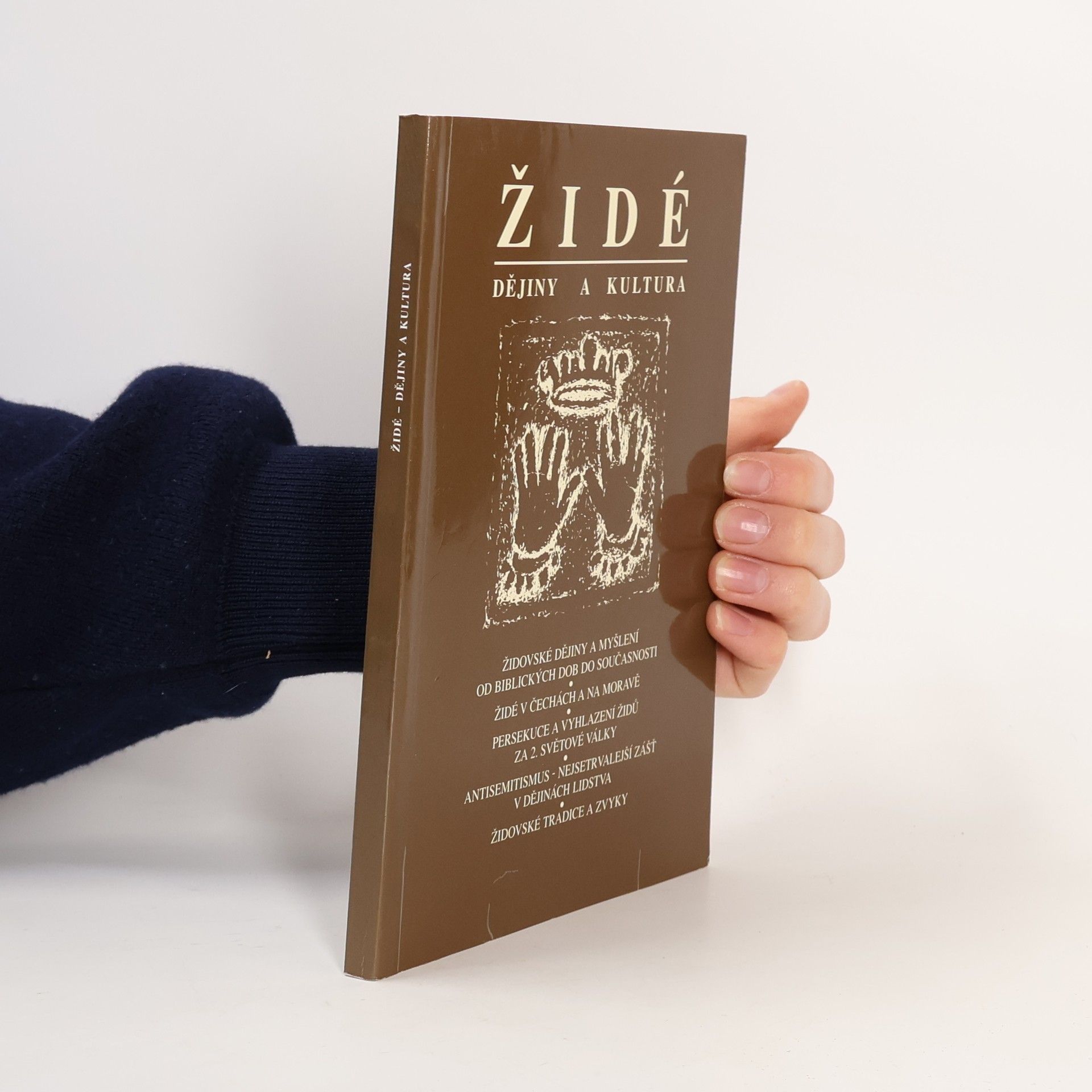 Autorenkollektiv Židé. Dějiny a kultura