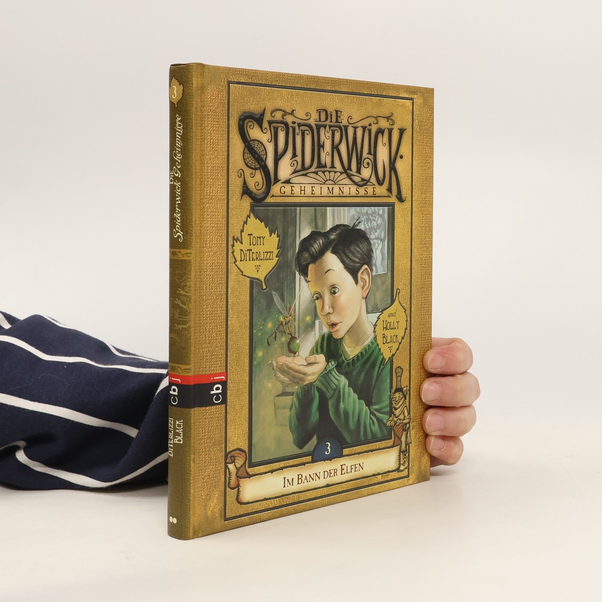 Holly Black Die Spiderwick Geheimnisse 3