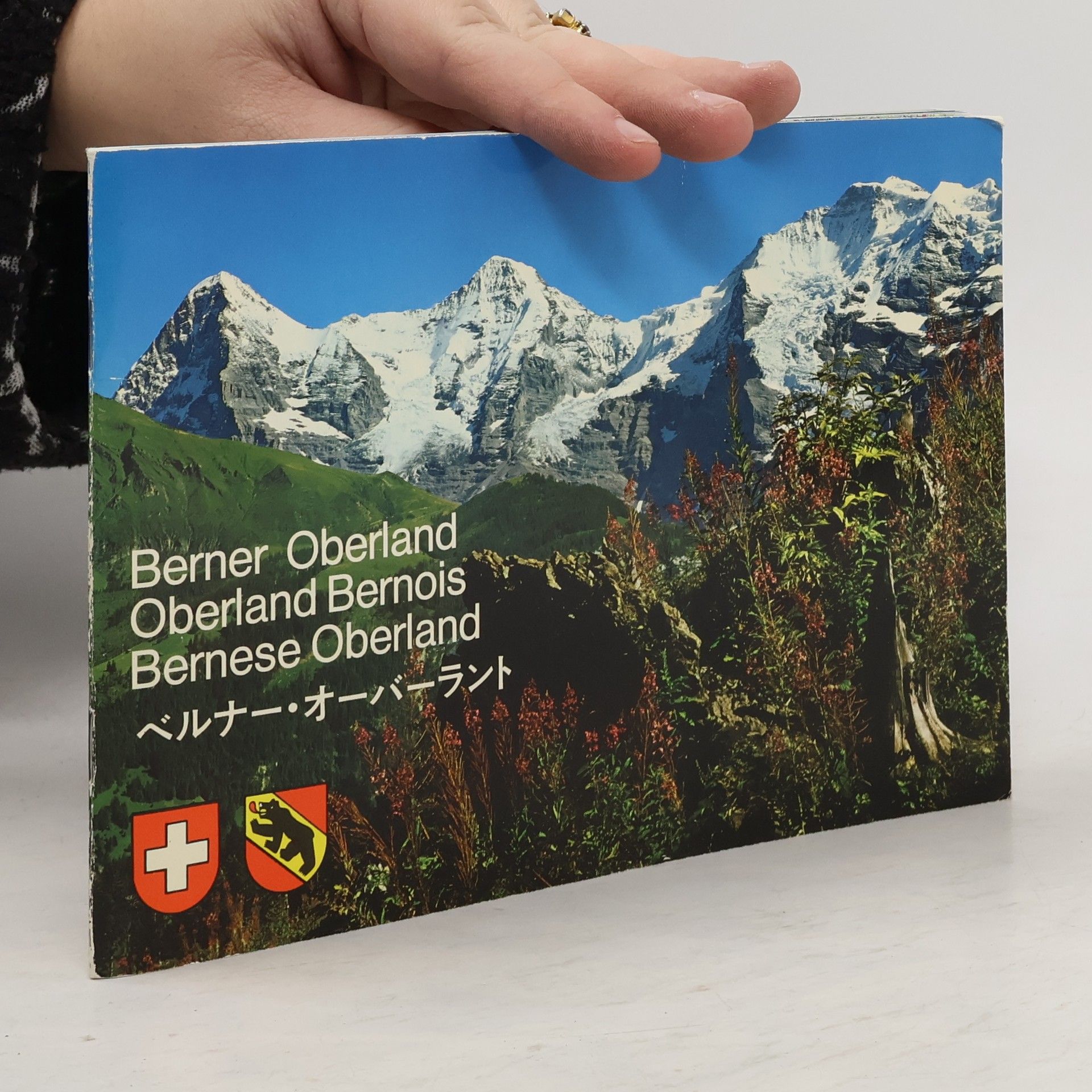 Autorenkollektiv Berner Oberland