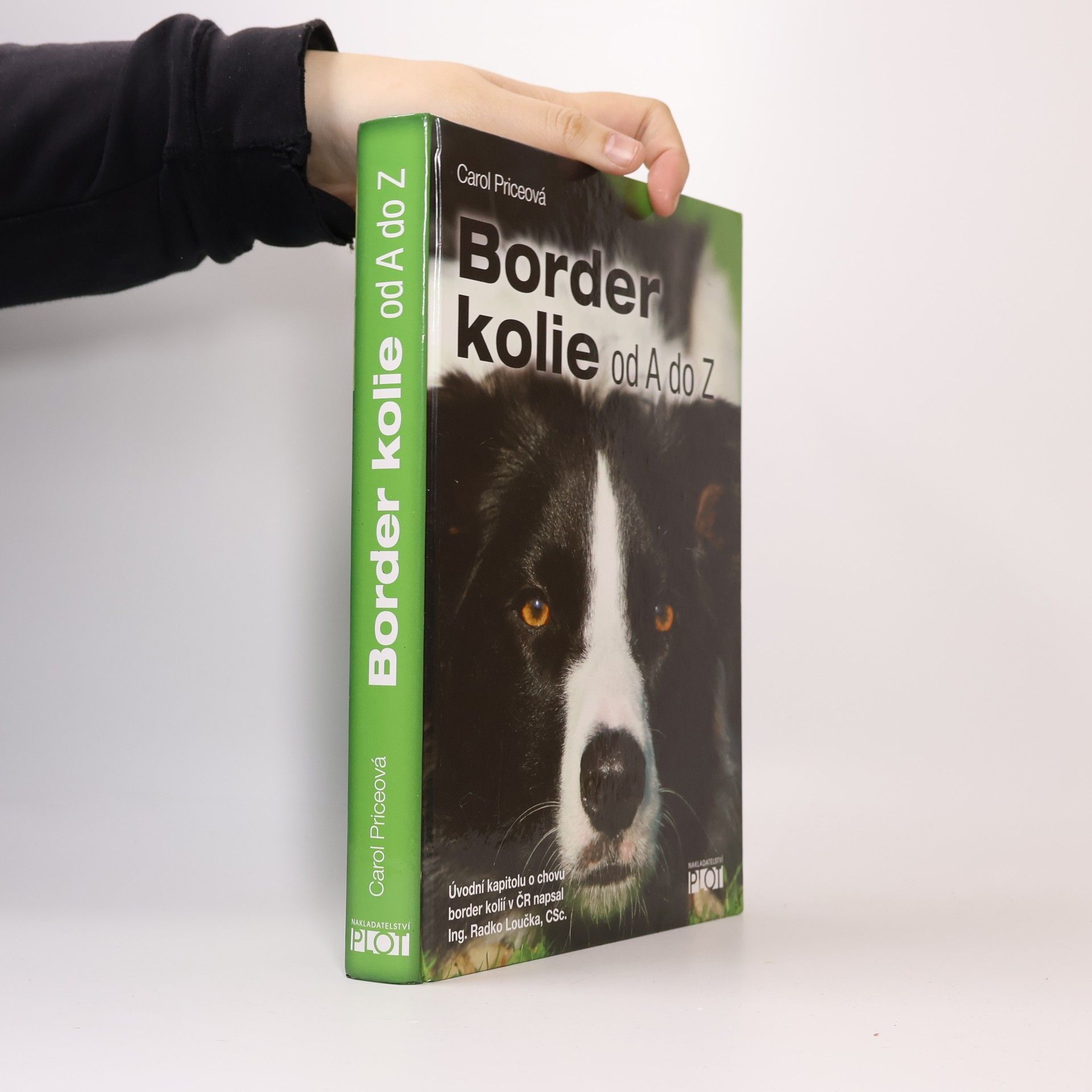 Carol Price Border kolie od A do Z