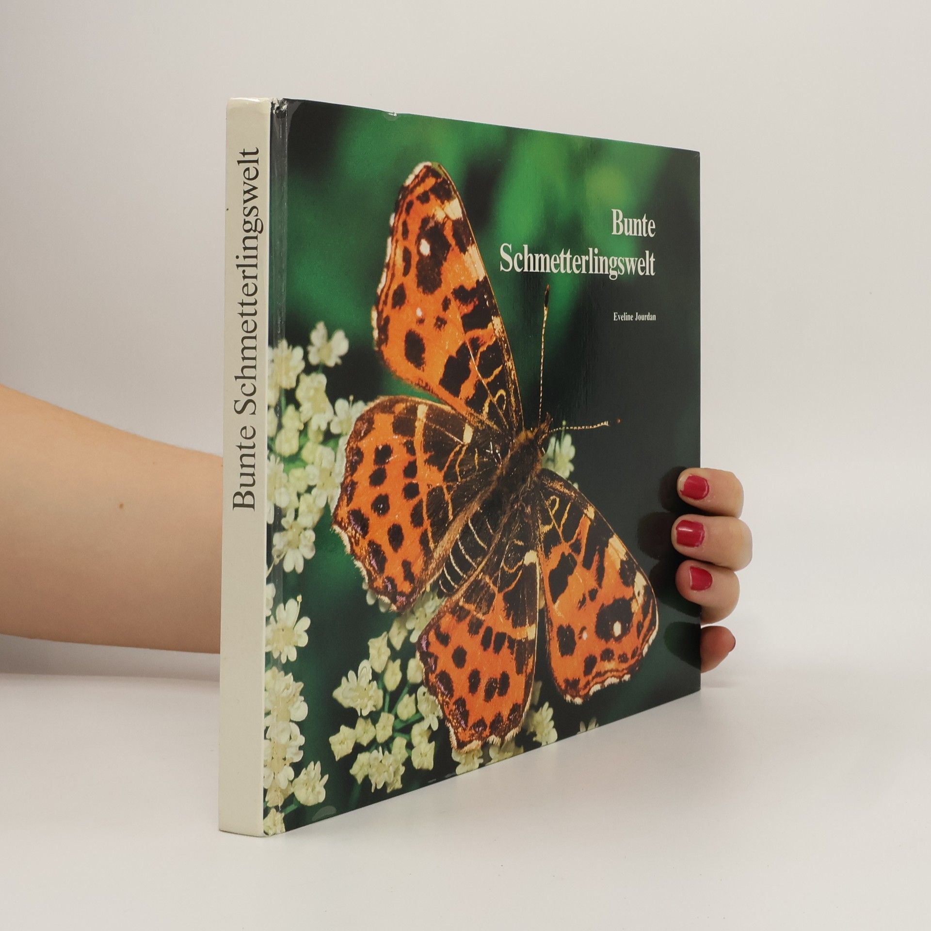 Eveline Jourdan Bunte Schmetterlingswelt