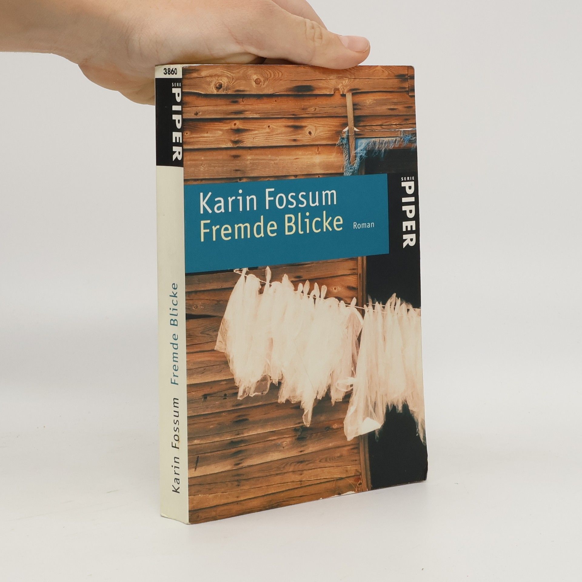 Karin Fossum Fremde Blicke