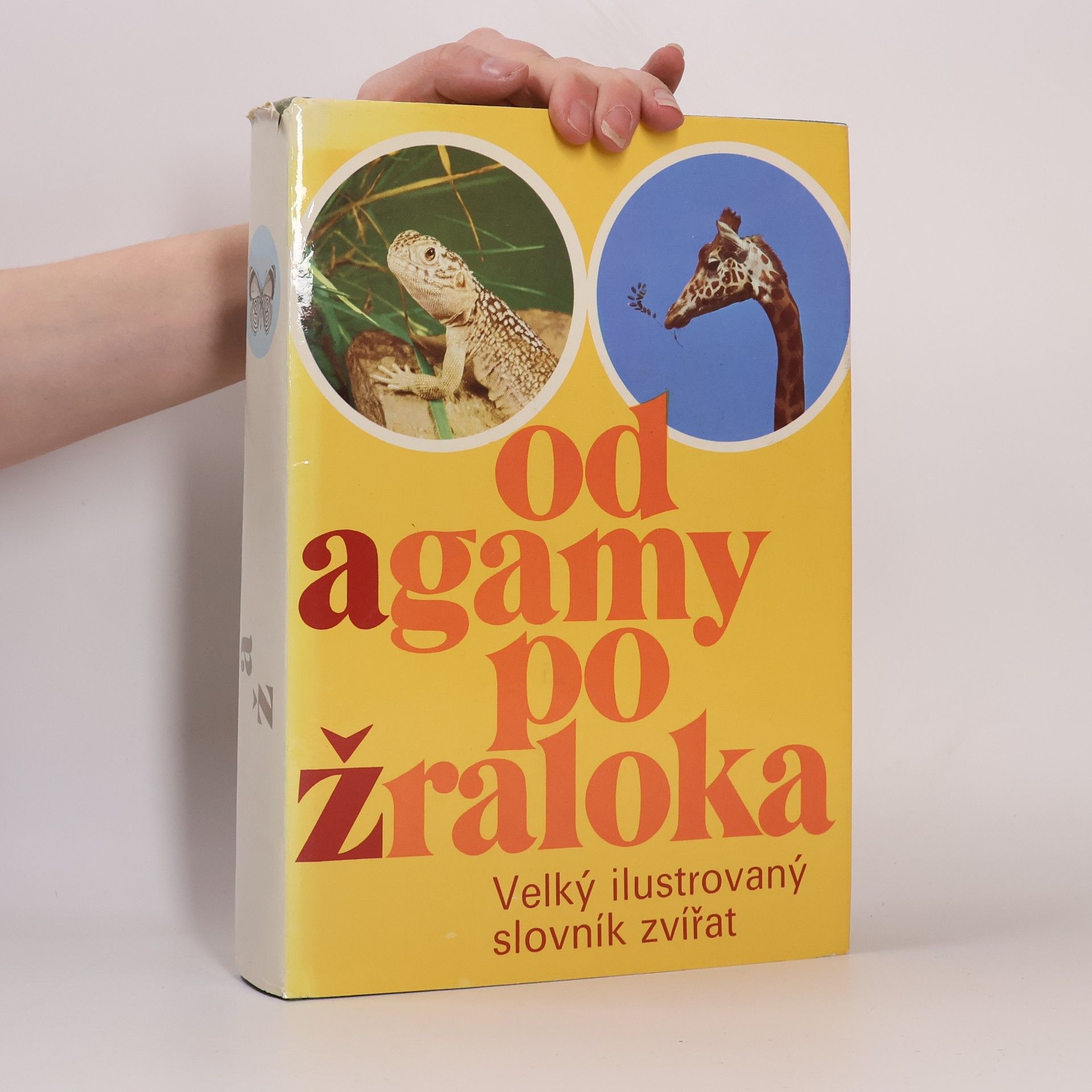 Autorenkollektiv Od agamy po žraloka. Velký ilustrovaný slovník zvířat
