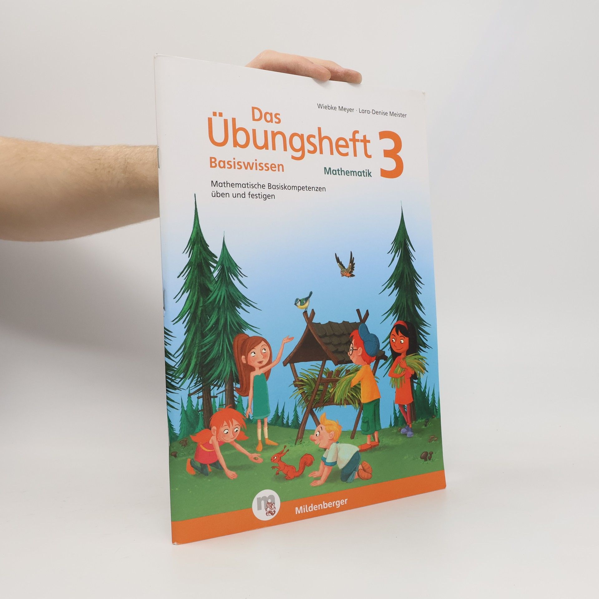 Wiebke Meyer Das Übungsheft Basiswissen 3