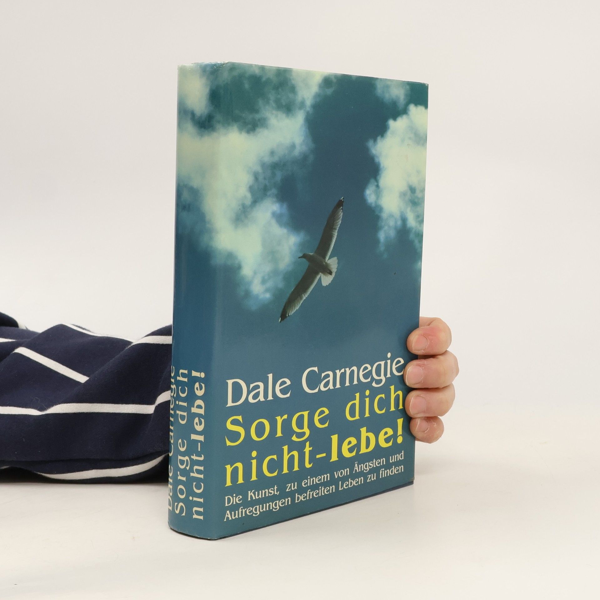 Dale Carnegie Sorge dich nicht-lebe!