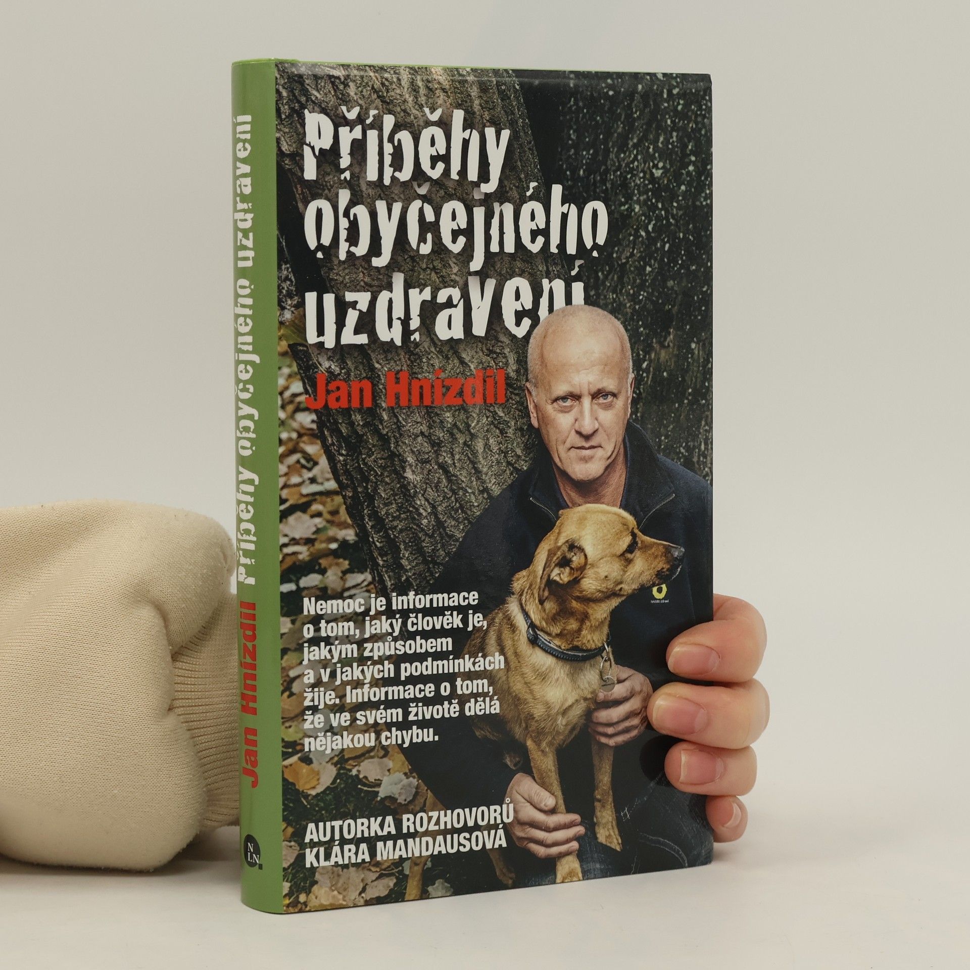 Jan Hnízdil Příběhy obyčejného uzdravení