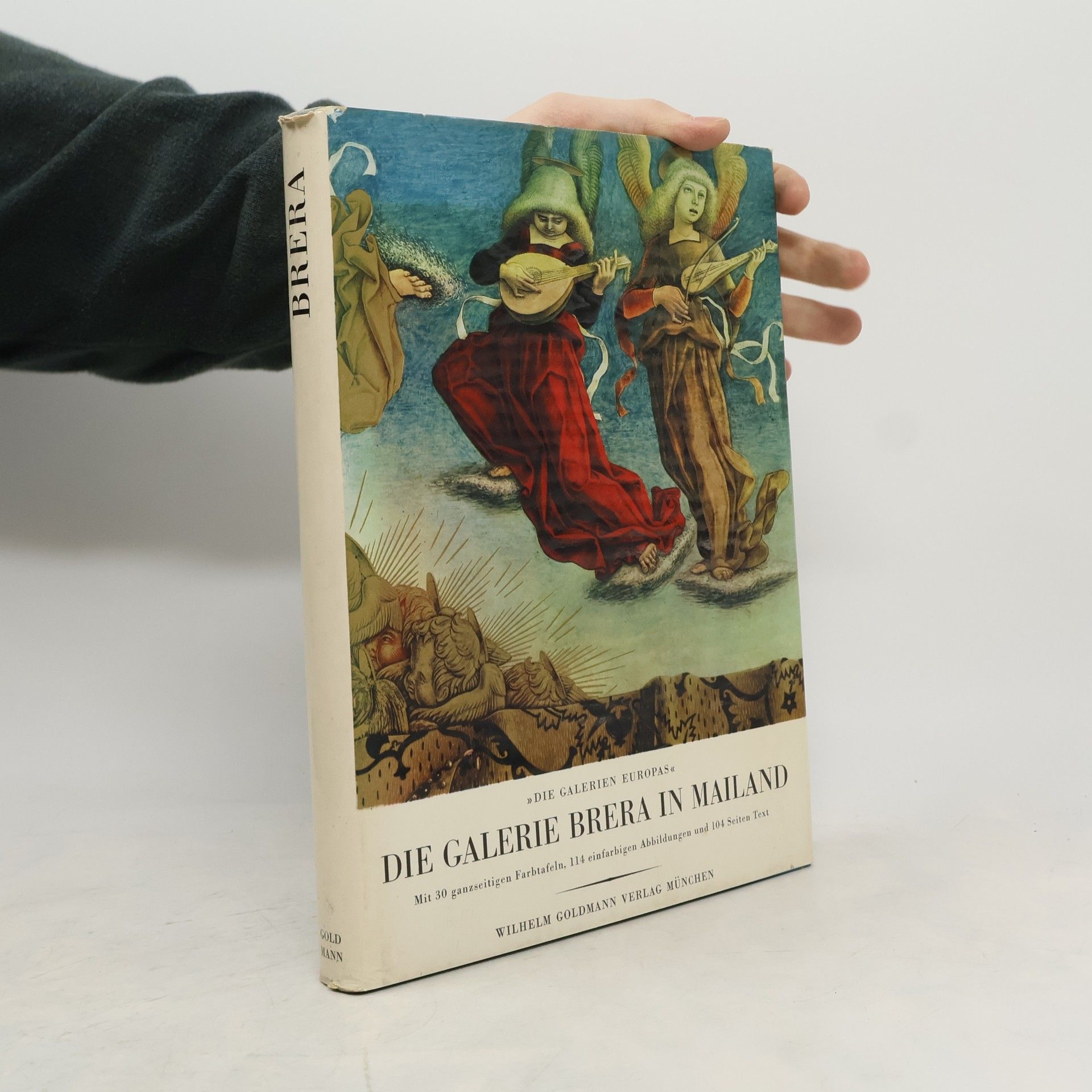 Various authors Die Galerie Brera In Mailand