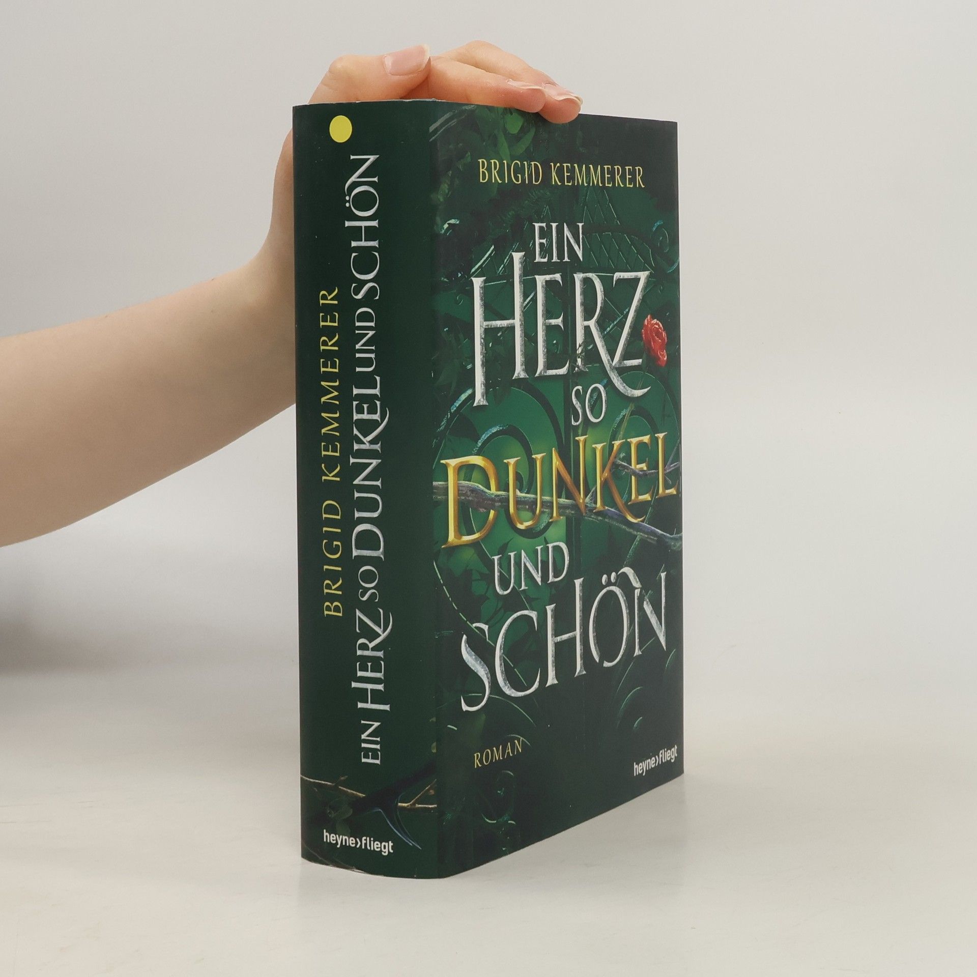 Brigid Kemmerer Ein Herz so dunkel und schön