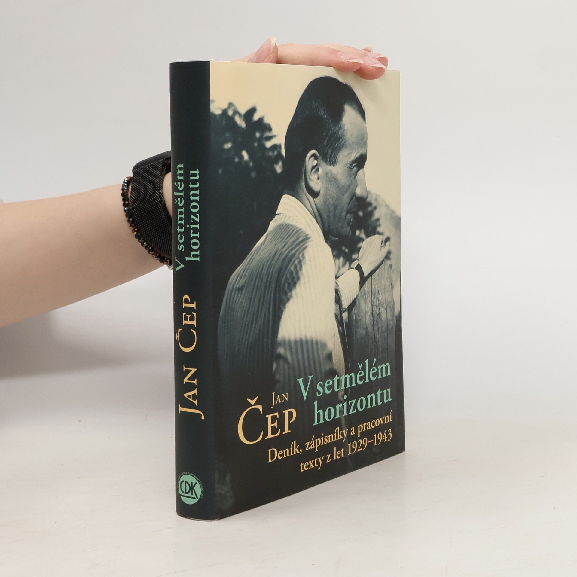 V setmělém horizontu