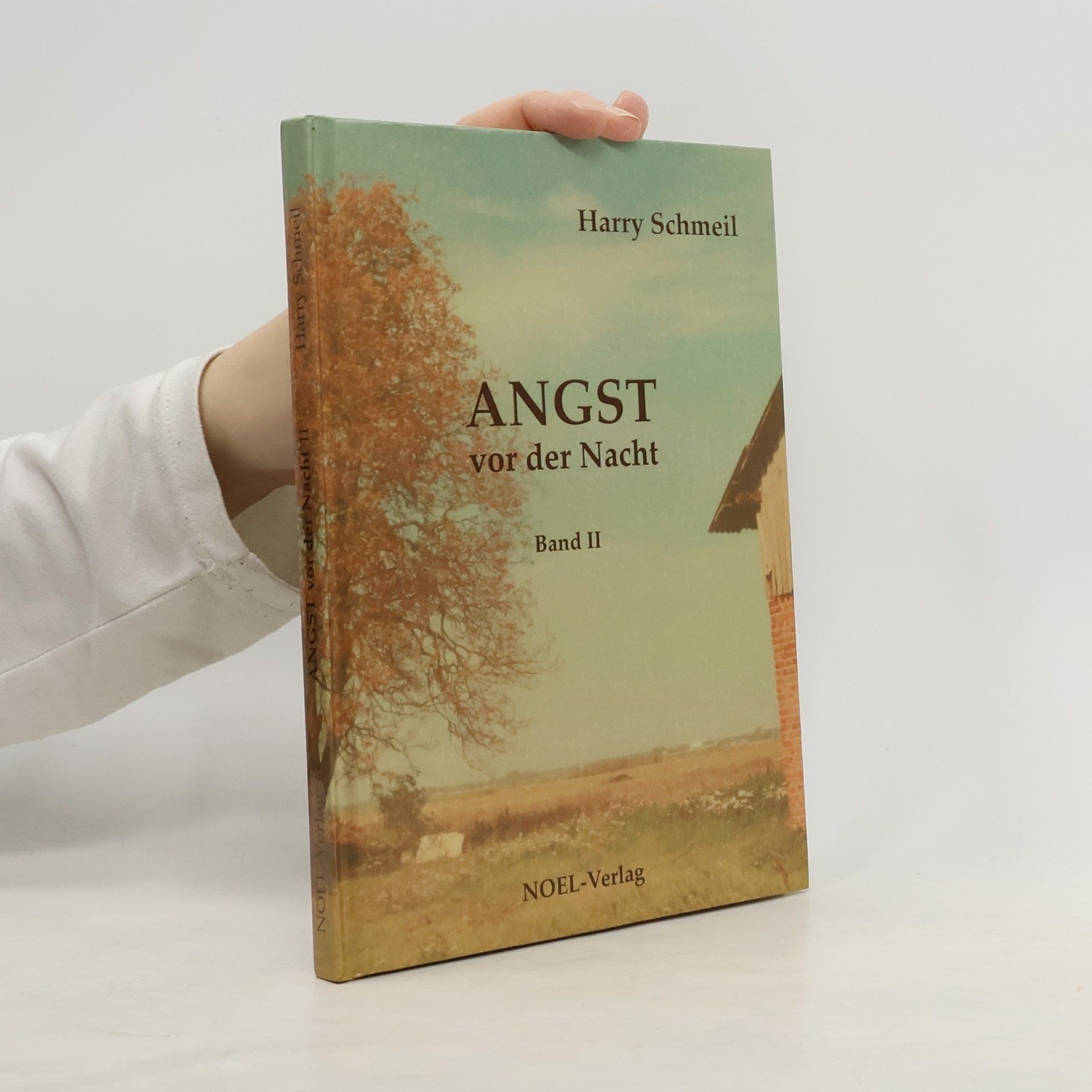 Harry Schmeil Angst vor der Nacht