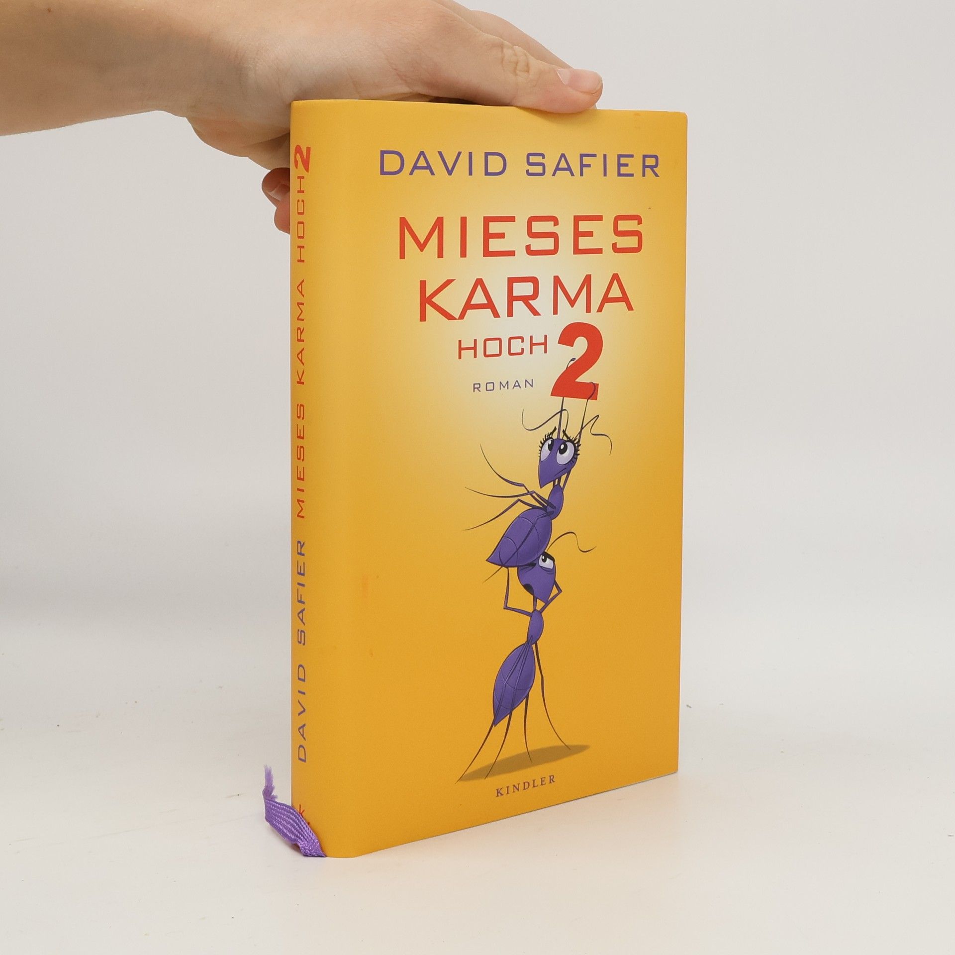 David Safier Mieses Karma hoch 2