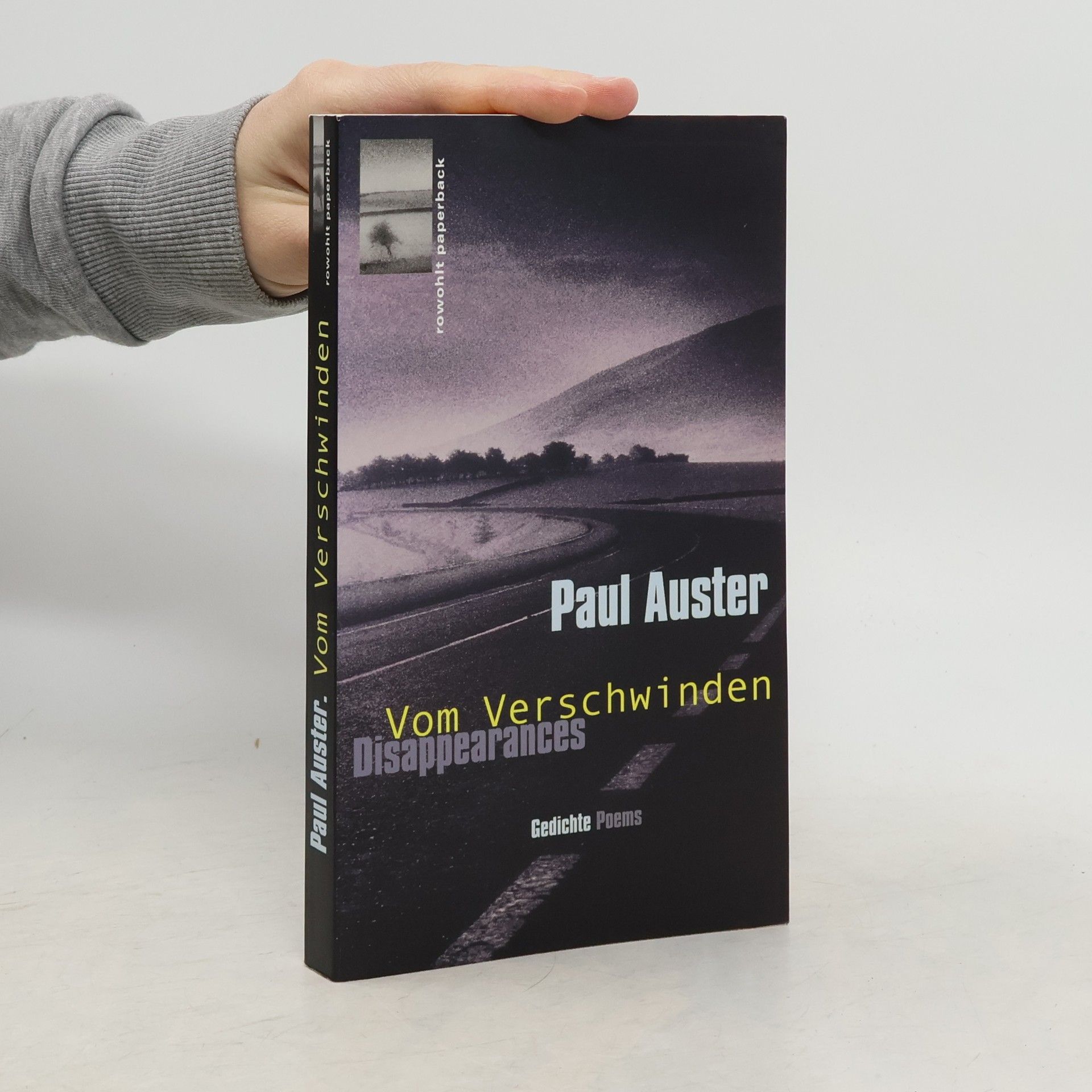 Paul Auster Disappearances / Vom Verschwinden