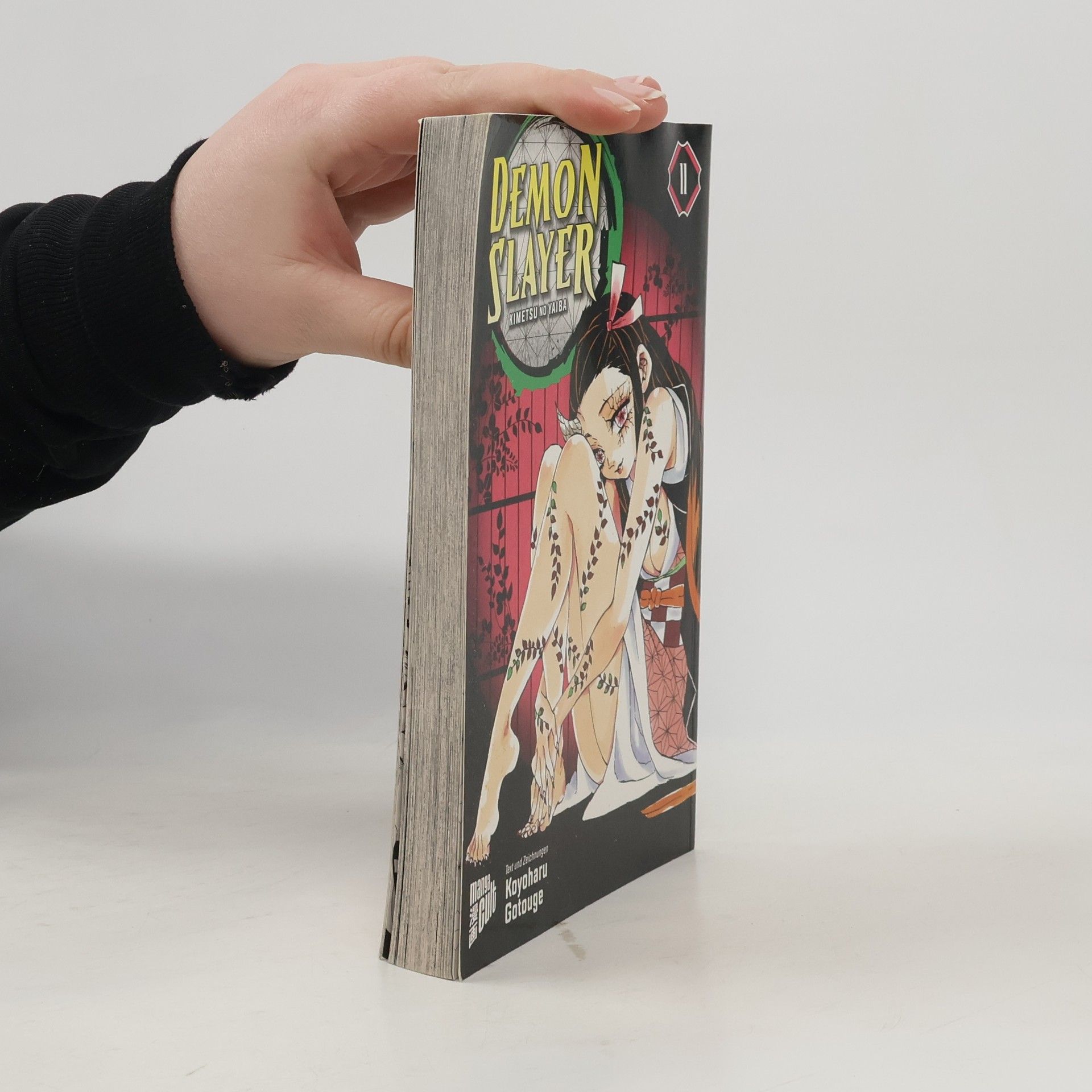 Demon Slayer 11