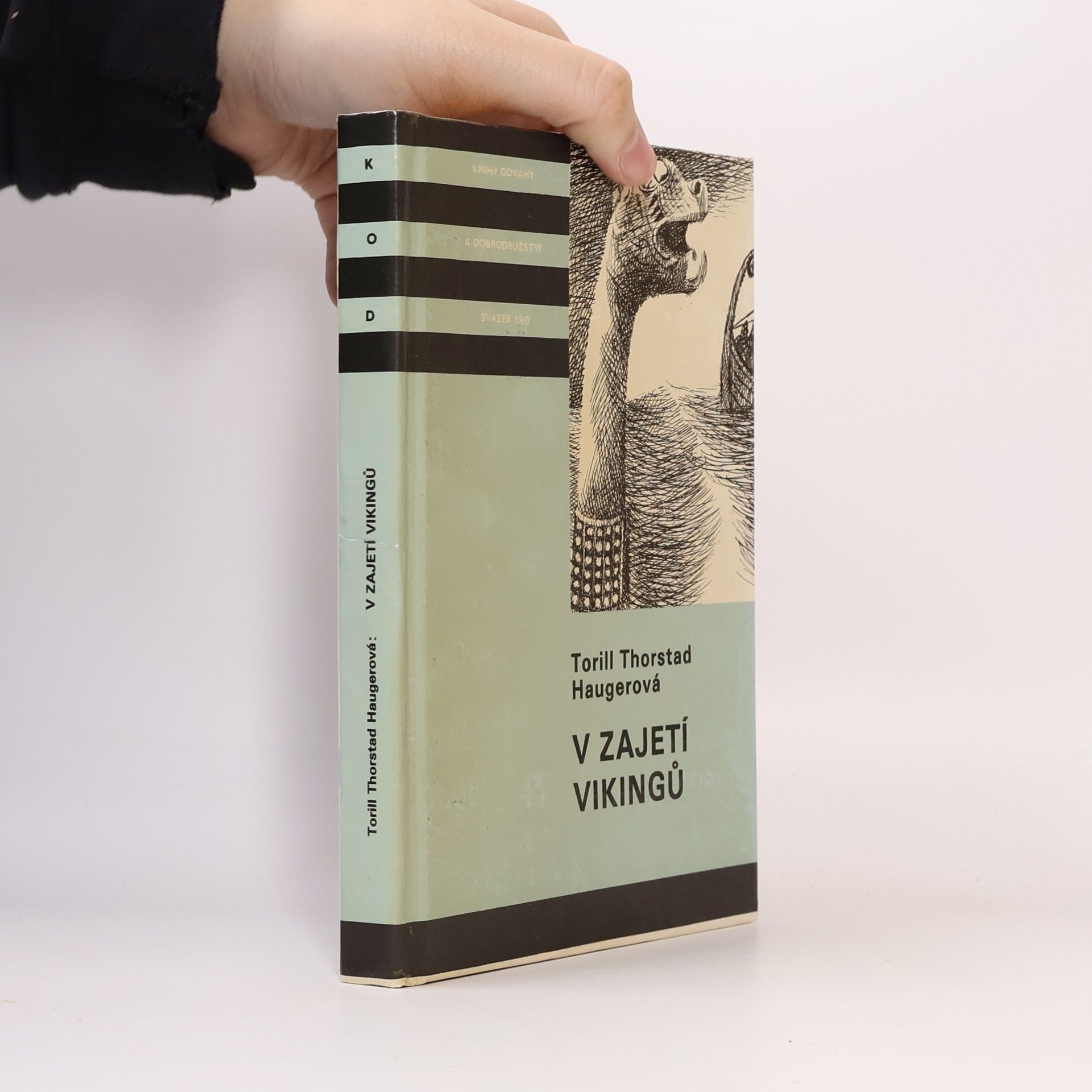 Torill Thorstad Hauger V zajetí vikingů