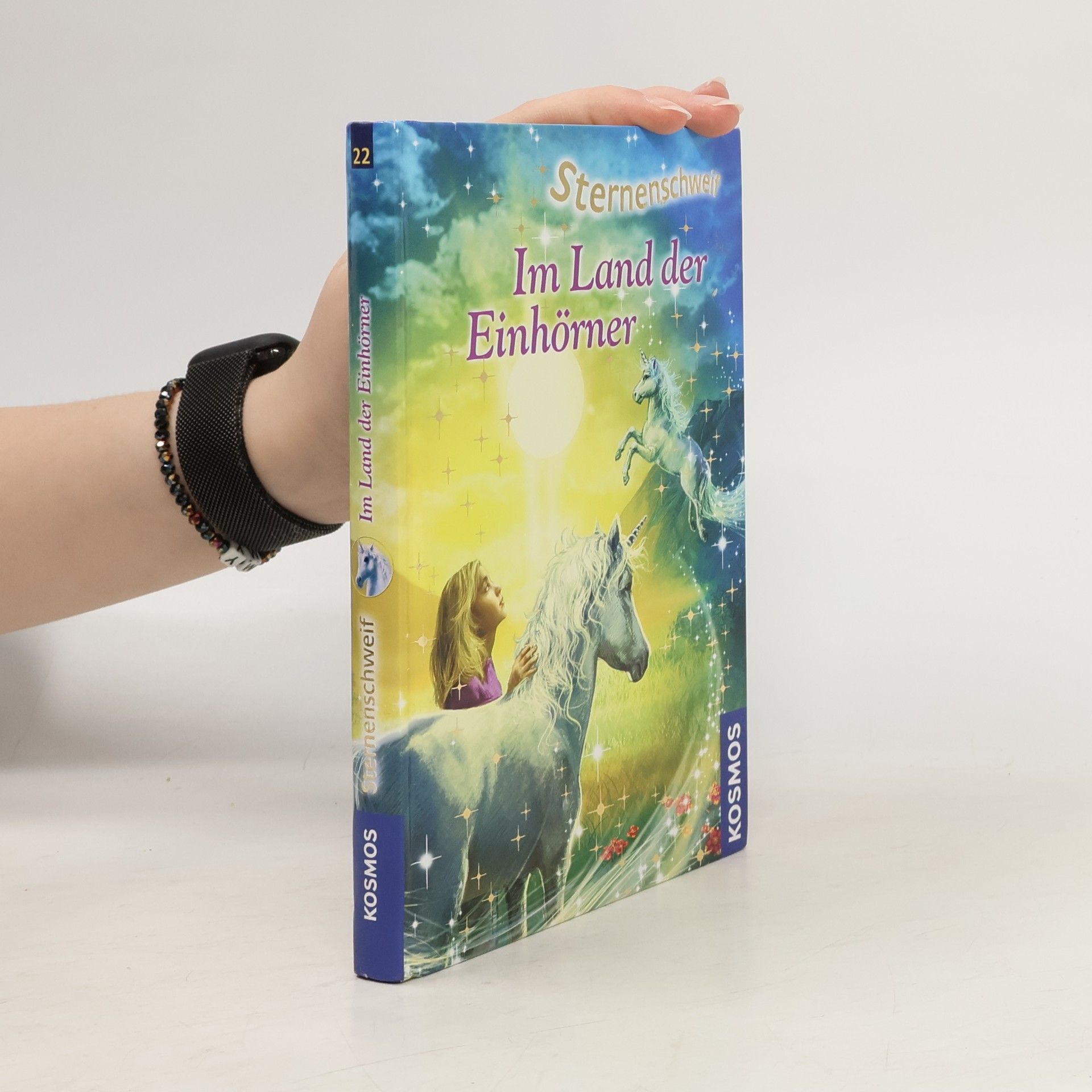 Ina Brandt Im Land der Einhörner