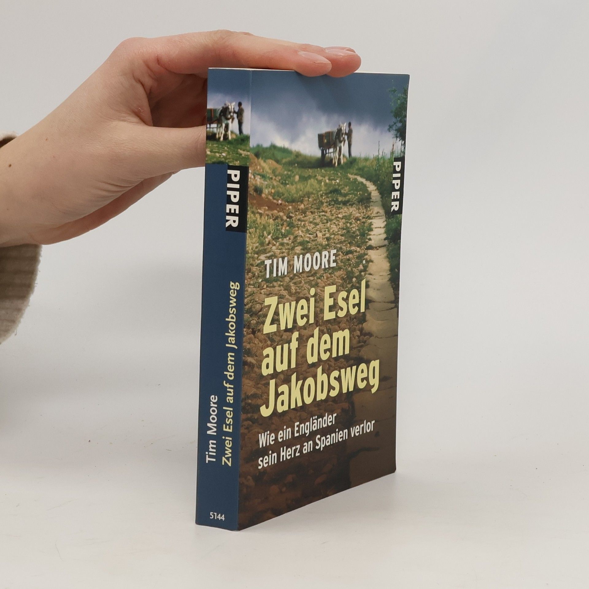 Zwei Esel auf dem Jakobsweg