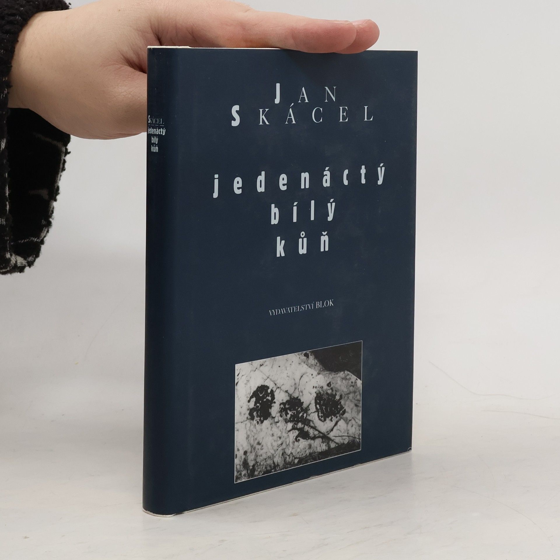 Jan Skácel Jedenáctý bílý kůň