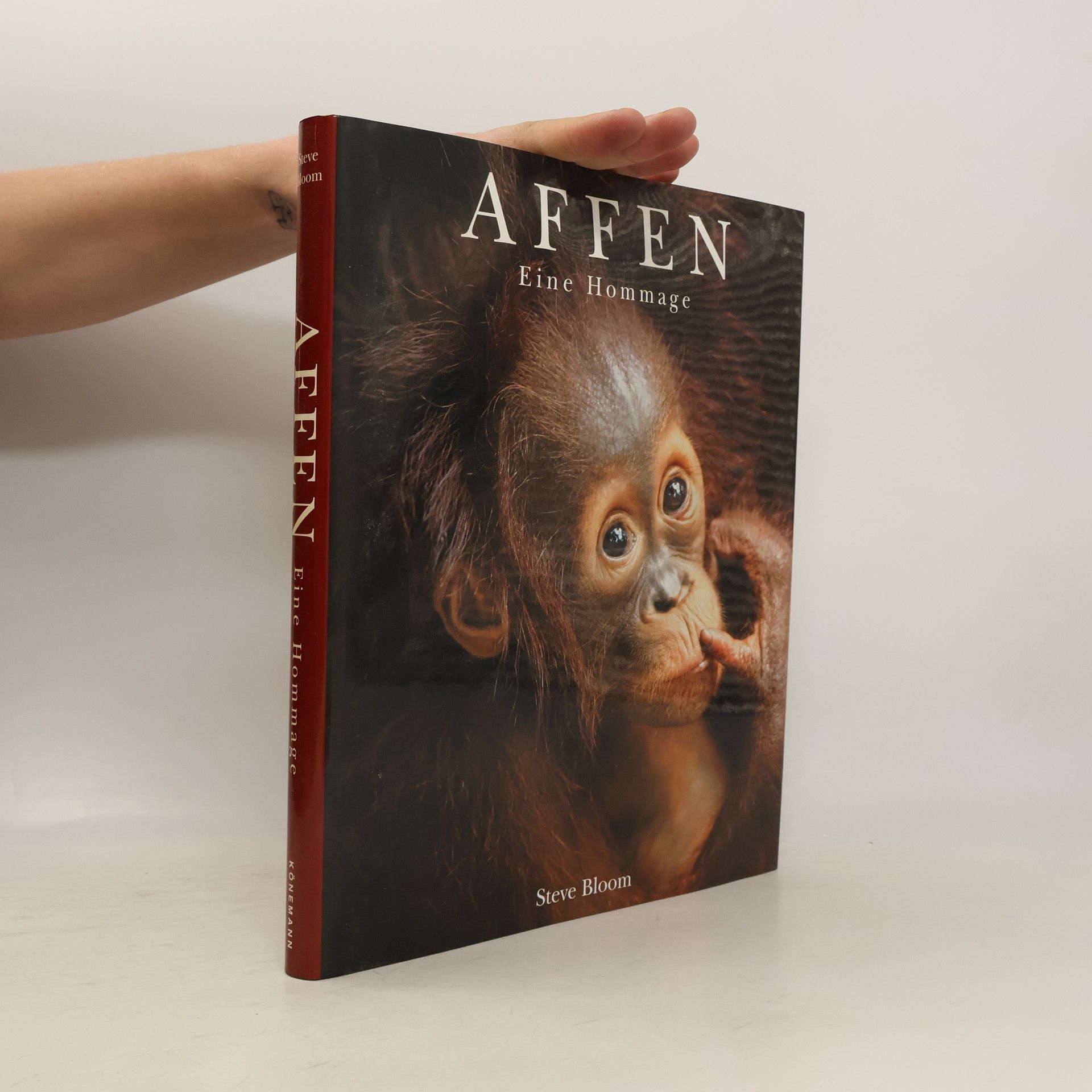 Steve Bloom Affen - eine Hommage