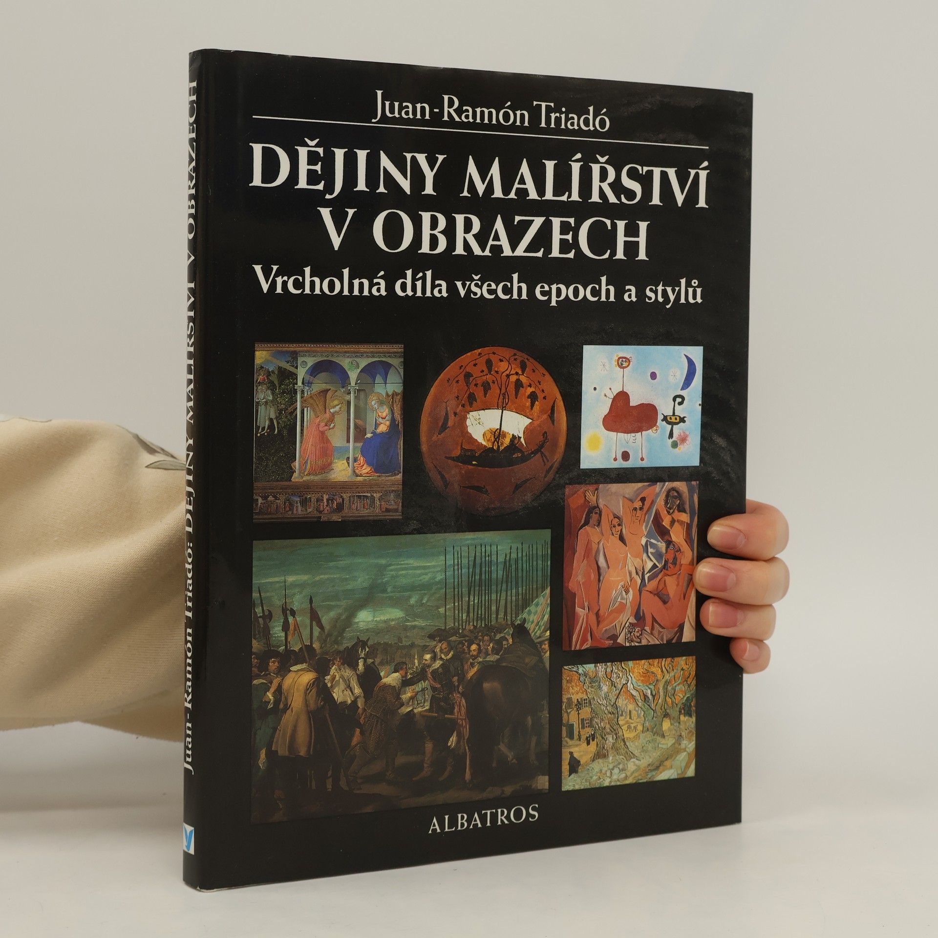 Václav Konečný Dějiny malířství v obrazech : vrcholná díla všech epoch a stylů