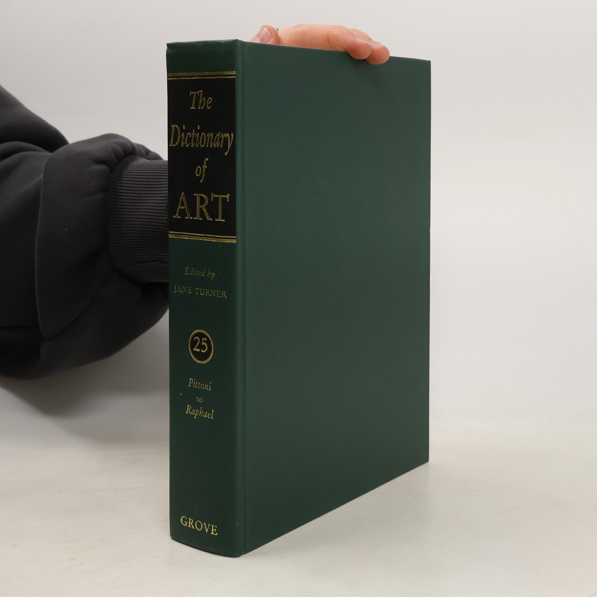 Jane Turner The Dictionary of Art 25