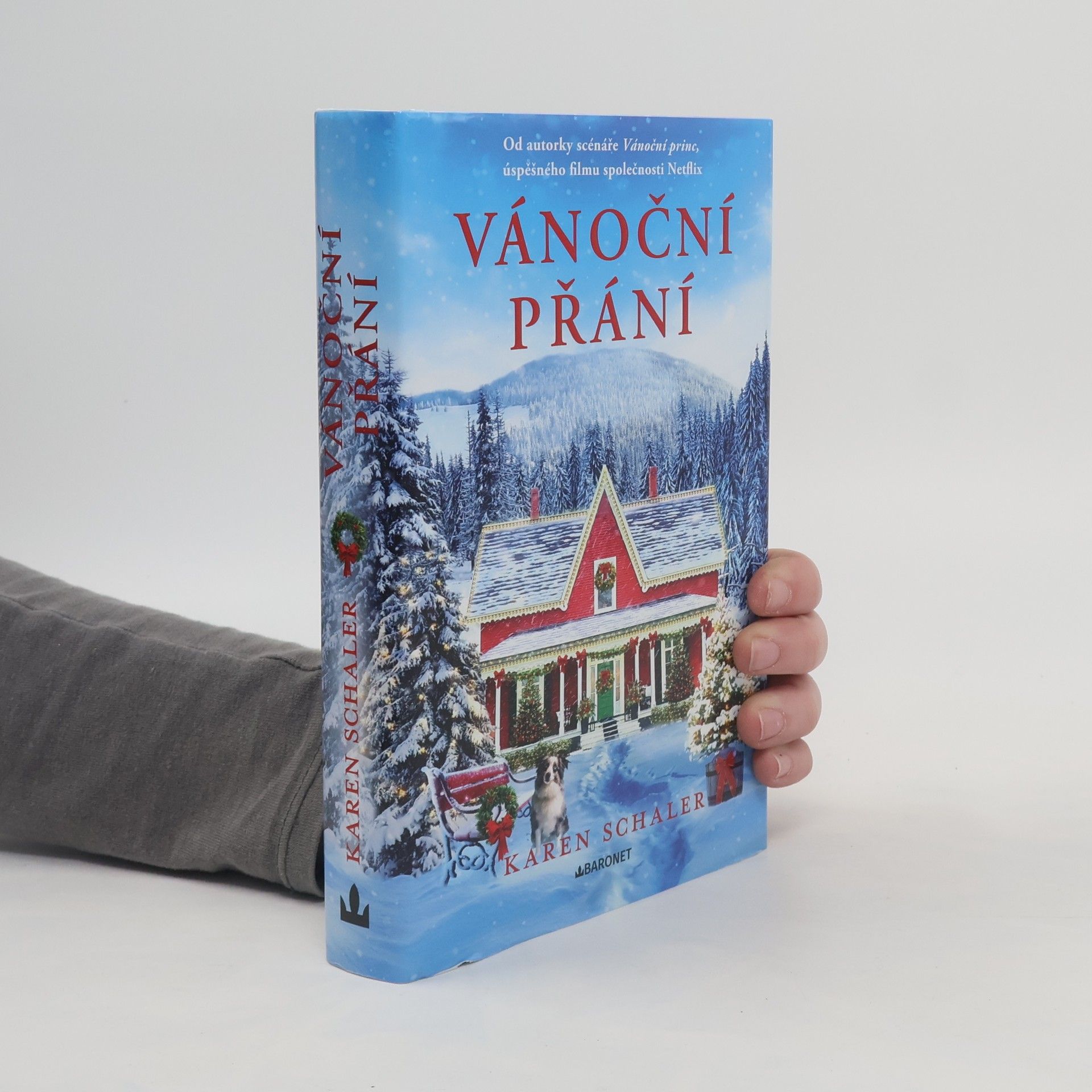 Karen Schaler Vánoční přání