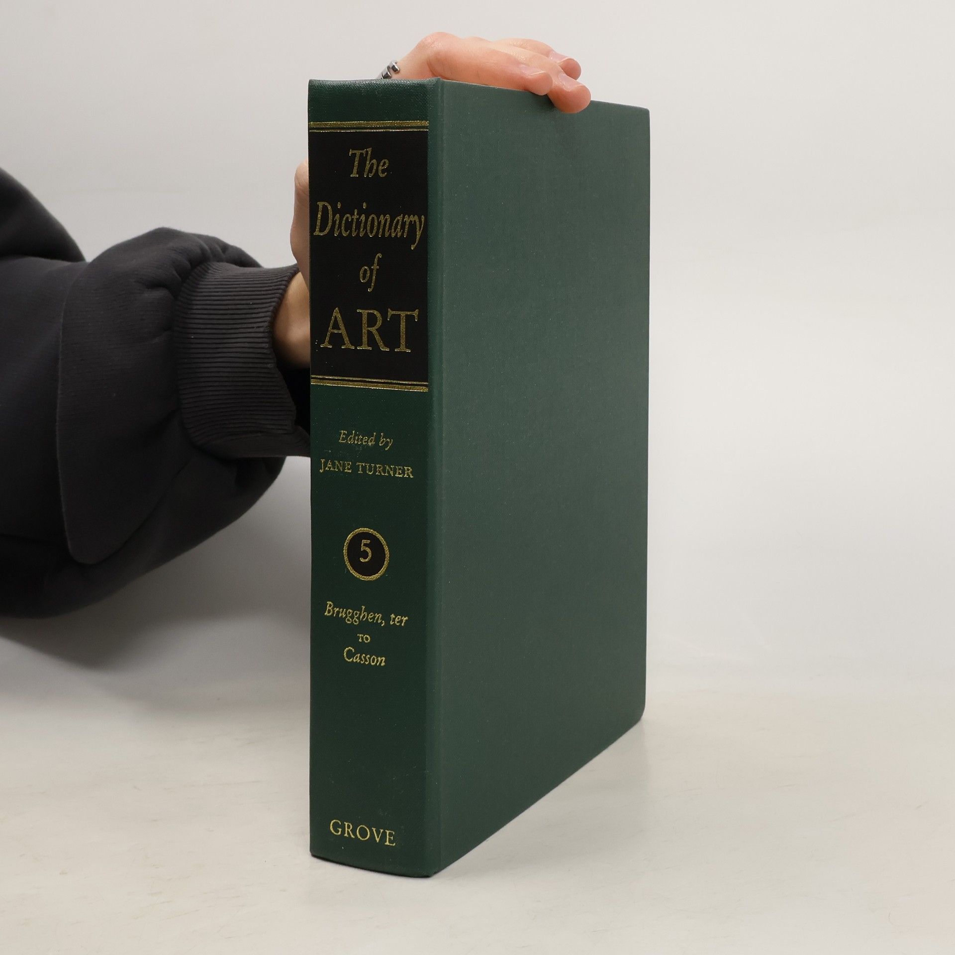 Jane Turner The Dictionary of Art 5
