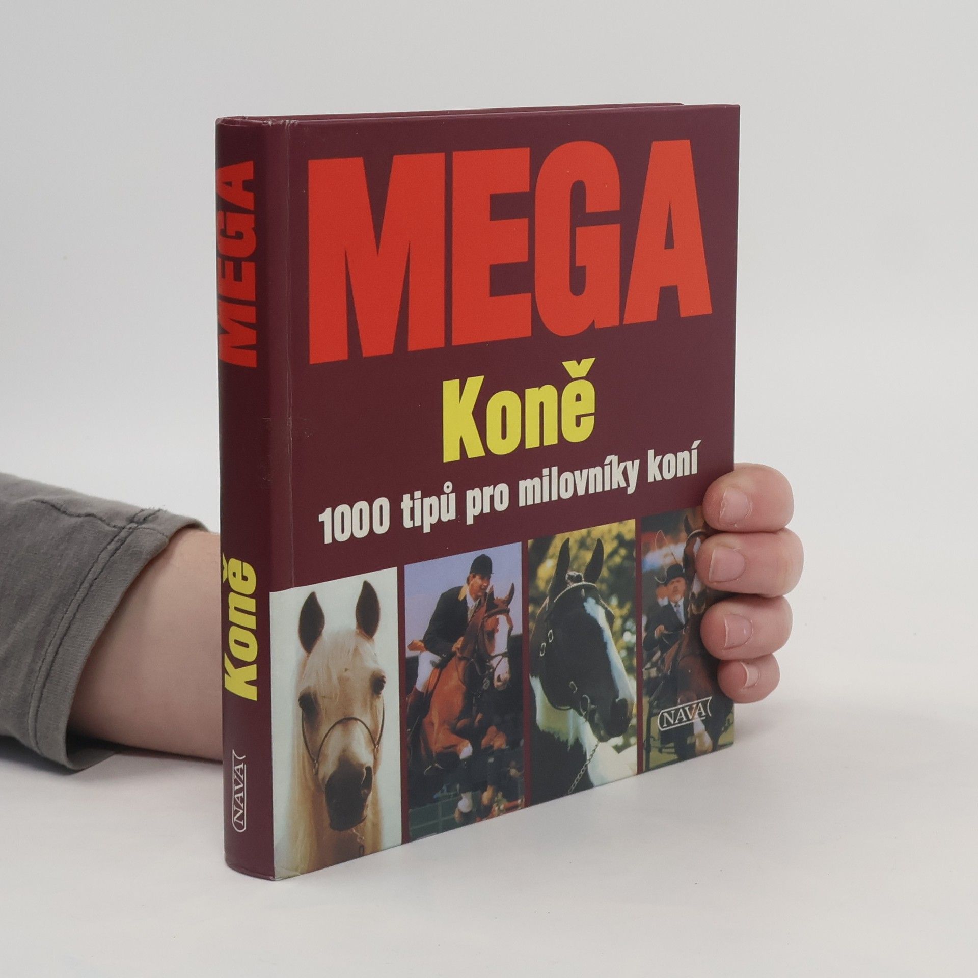 Edgar Wüpper Mega: Koně