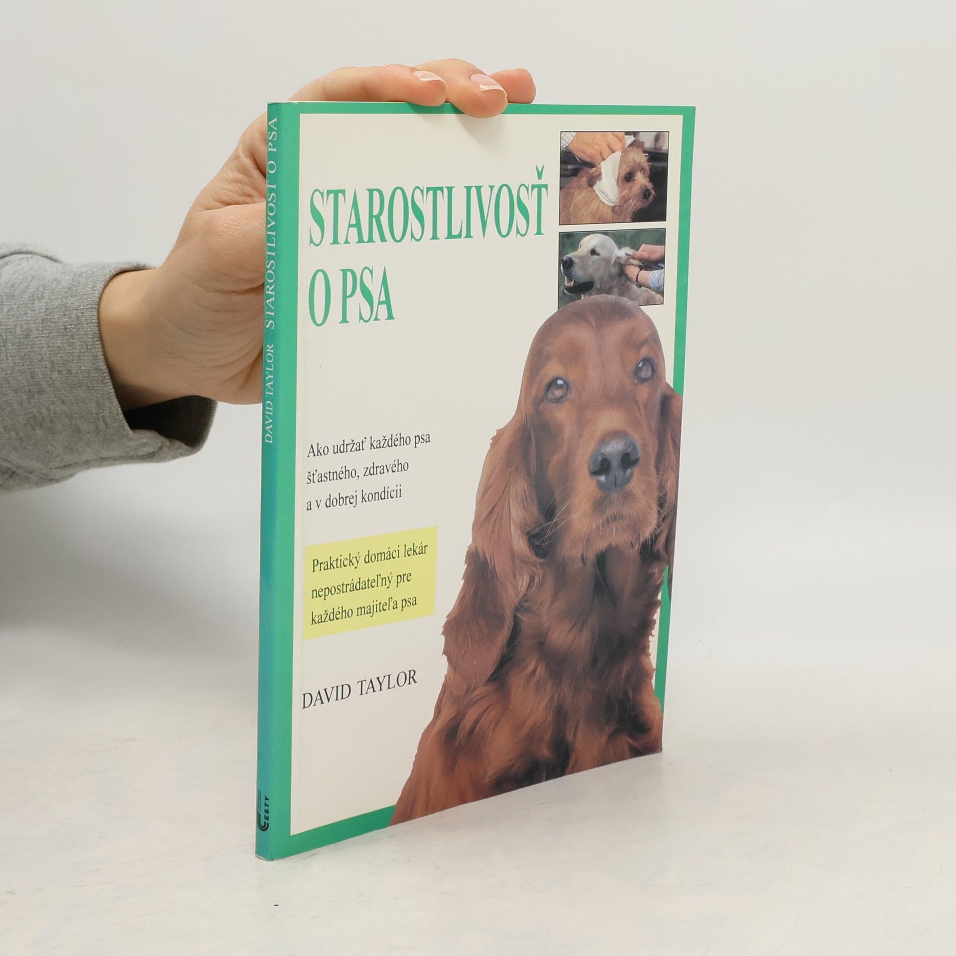 David Conrad Taylor Starostlivosť o psa