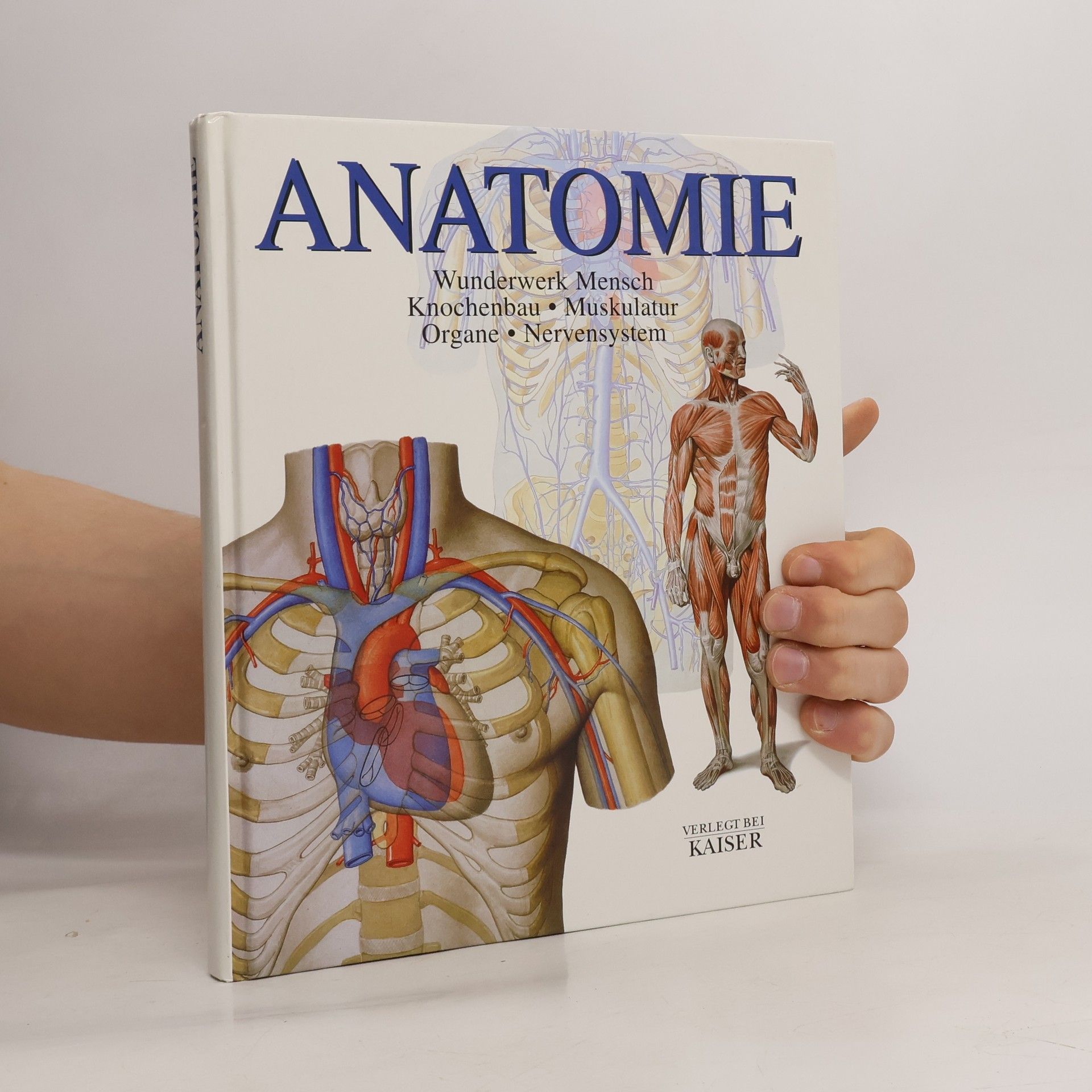 Carmen Schöninger Anatomie